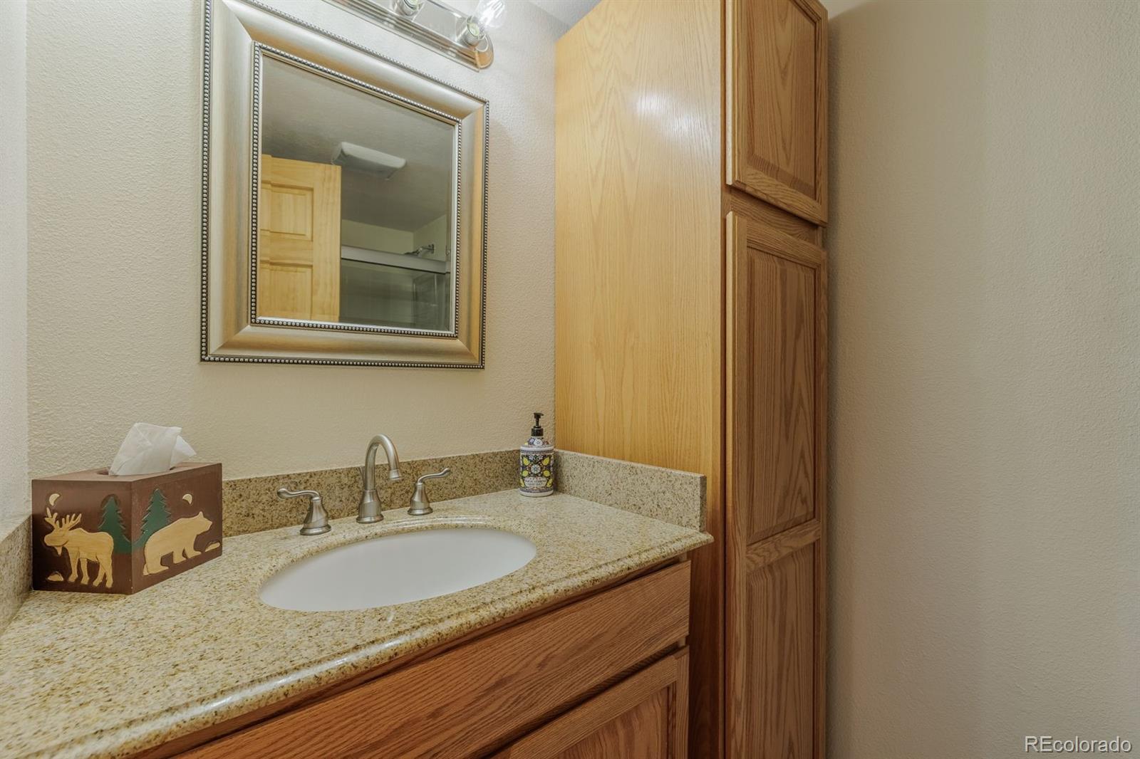 MLS Image #23 for 240  crestwood drive,woodland park, Colorado