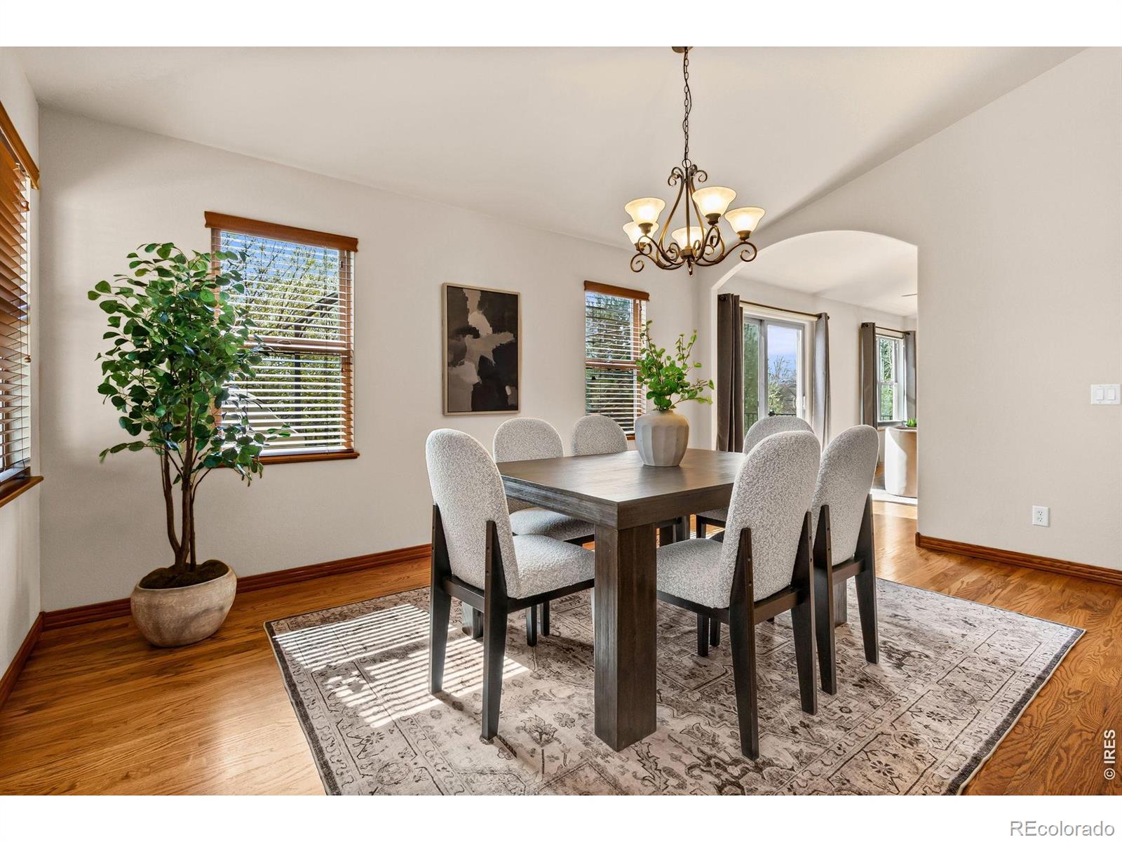 MLS Image #8 for 1150  flowering almond drive,loveland, Colorado