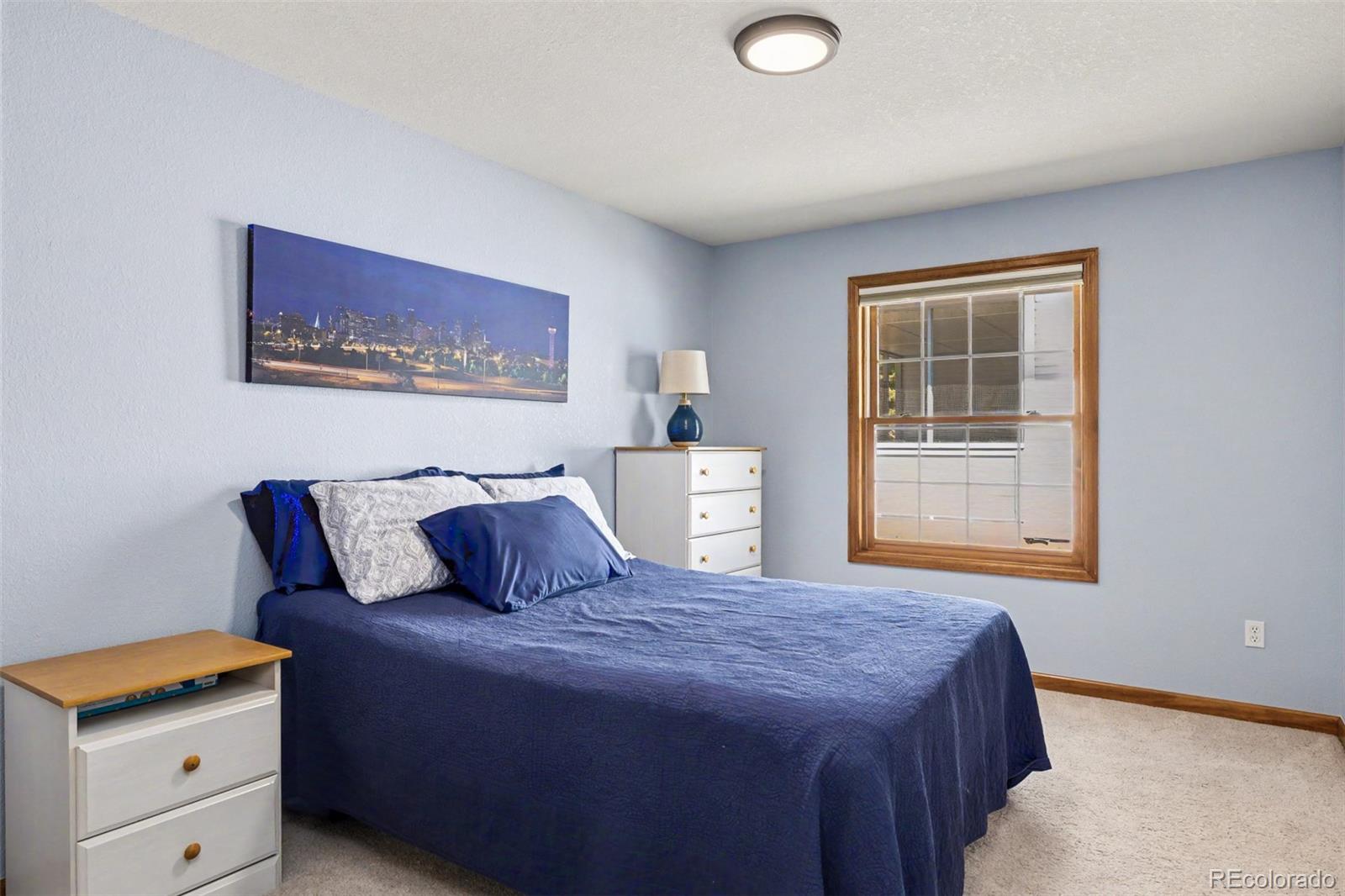 MLS Image #15 for 21  curtis court,broomfield, Colorado