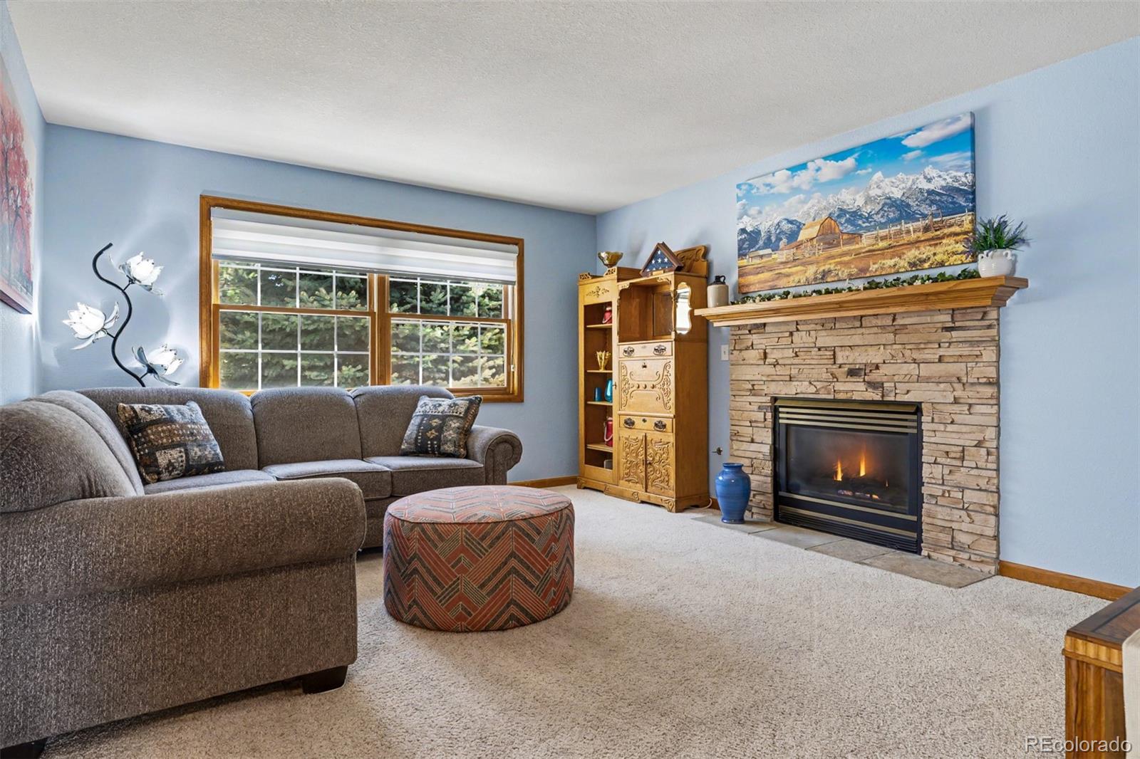 MLS Image #9 for 21  curtis court,broomfield, Colorado