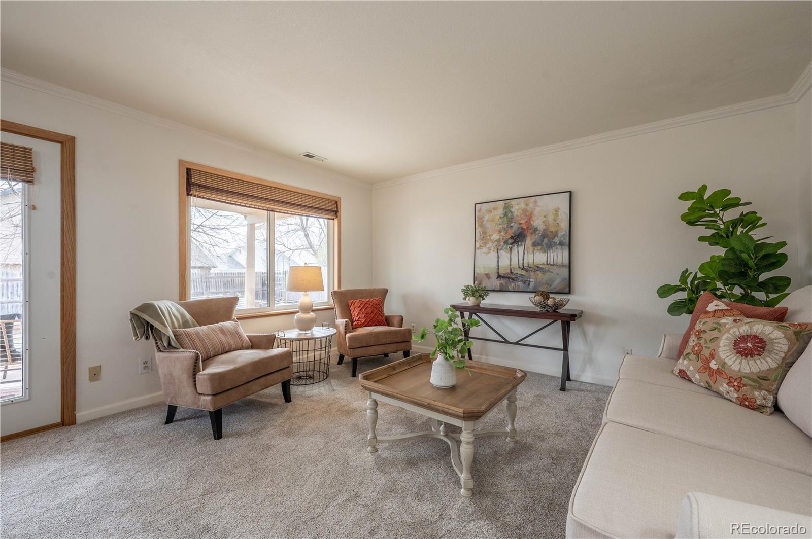 MLS Image #18 for 2430  frontier street,longmont, Colorado