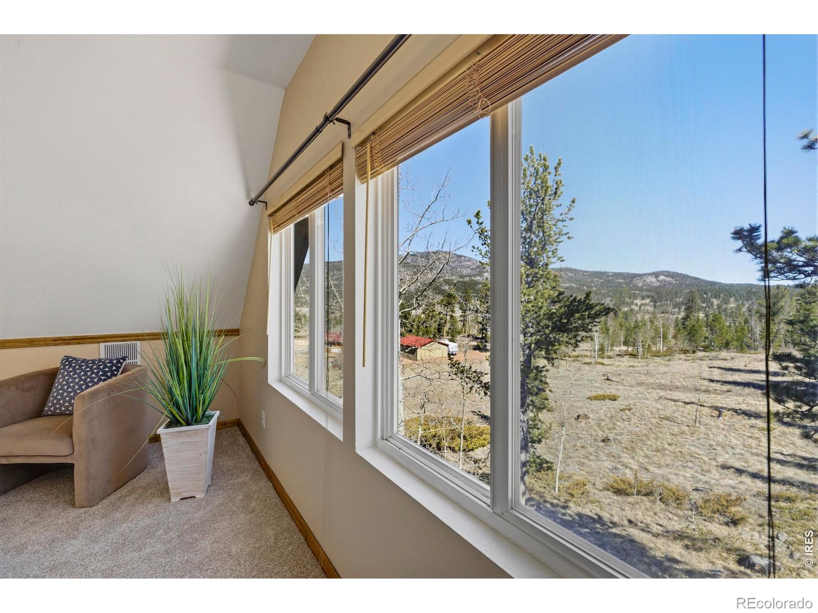 MLS Image #23 for 5515 n county road 73c ,red feather lakes, Colorado