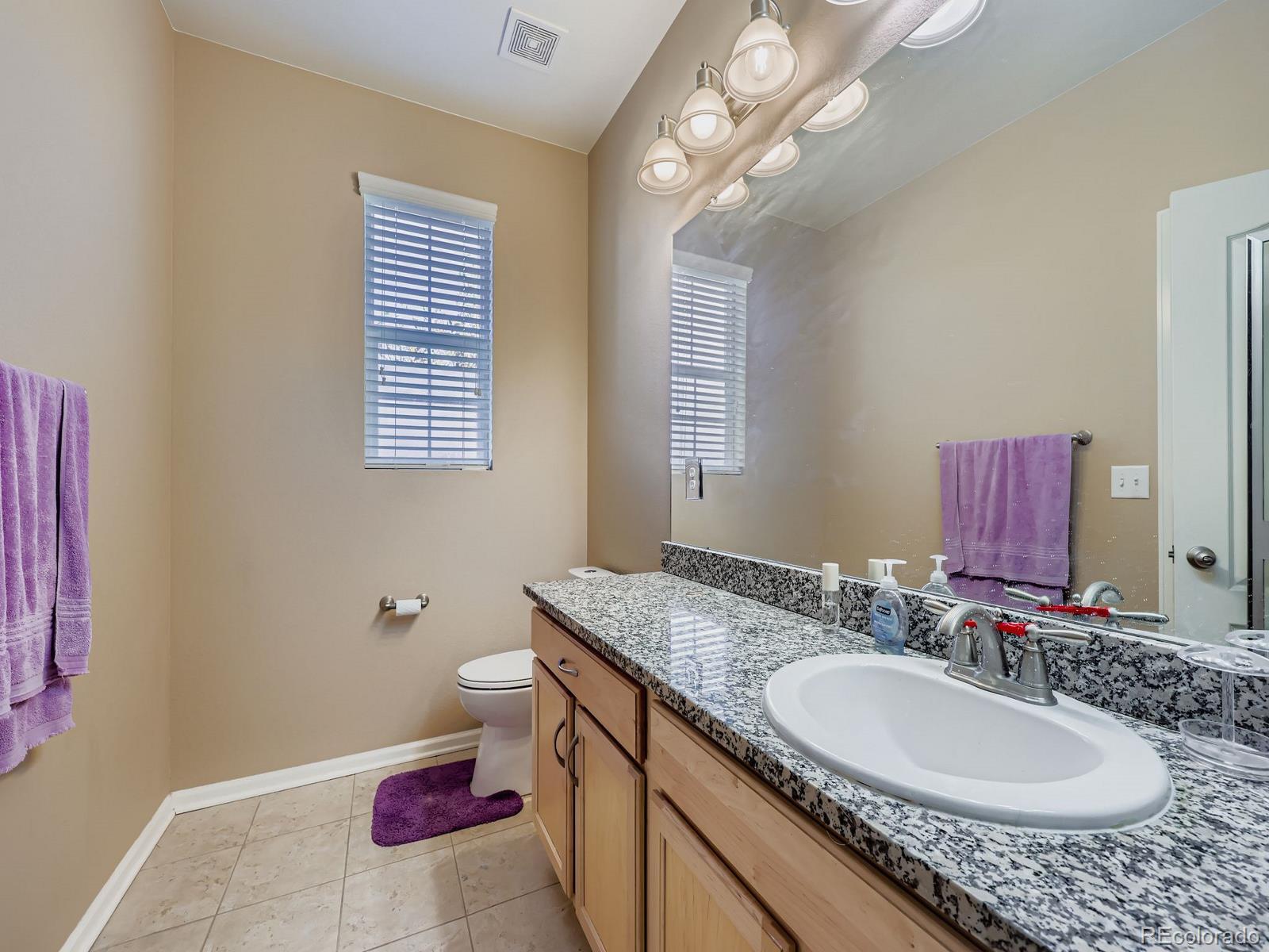 MLS Image #16 for 4415  hydrangea way,castle rock, Colorado
