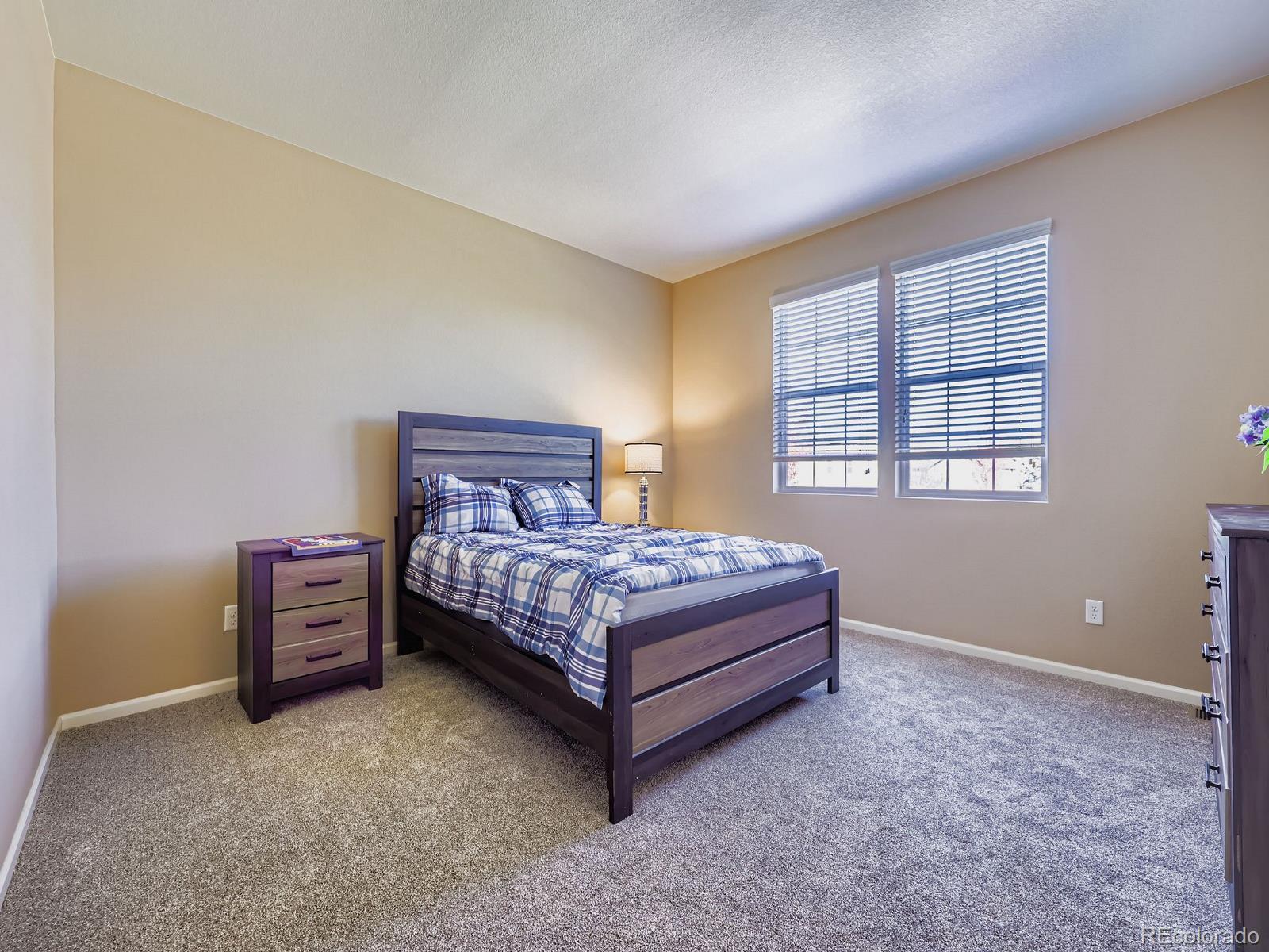 MLS Image #18 for 4415  hydrangea way,castle rock, Colorado