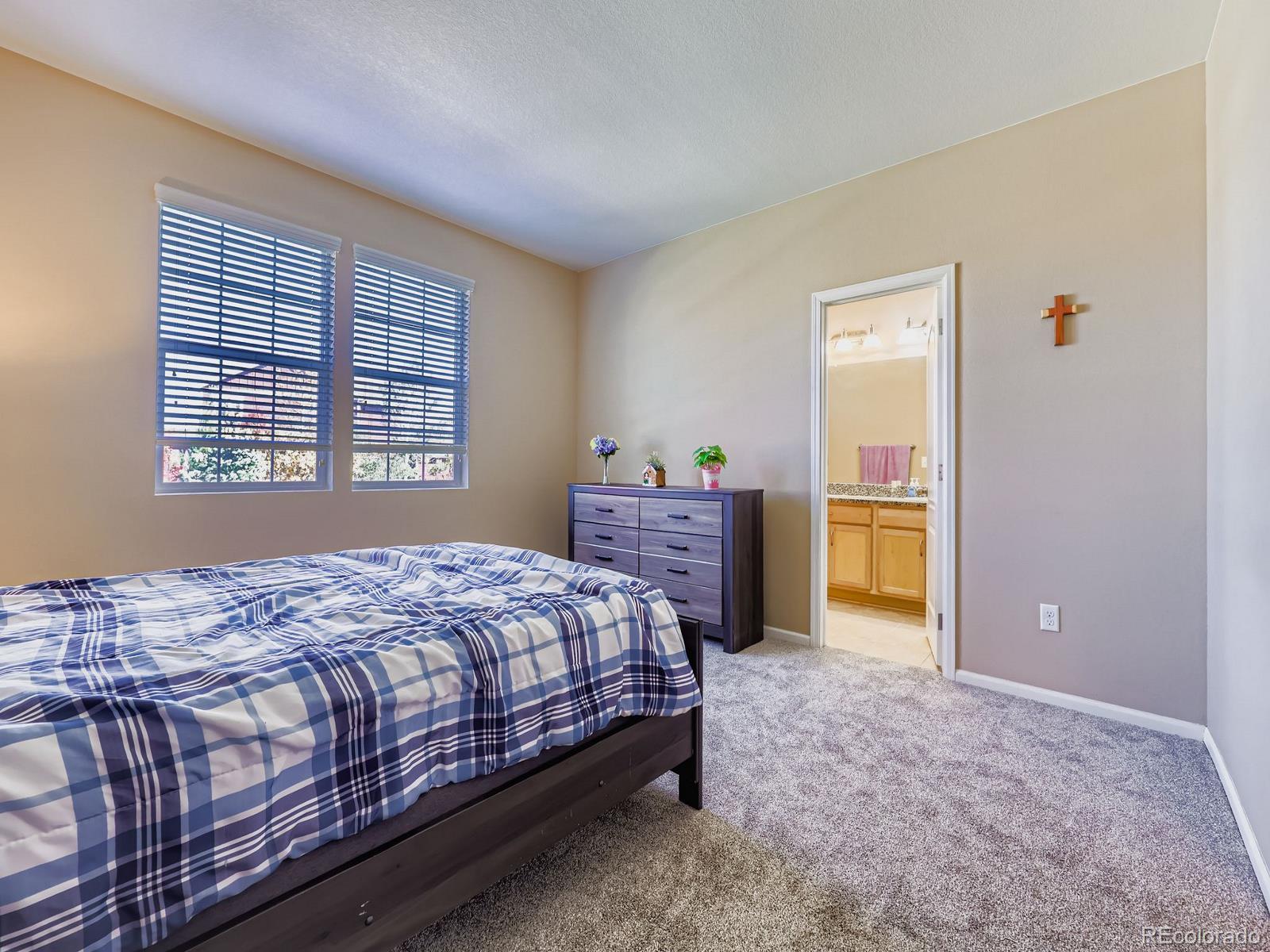 MLS Image #25 for 4415  hydrangea way,castle rock, Colorado