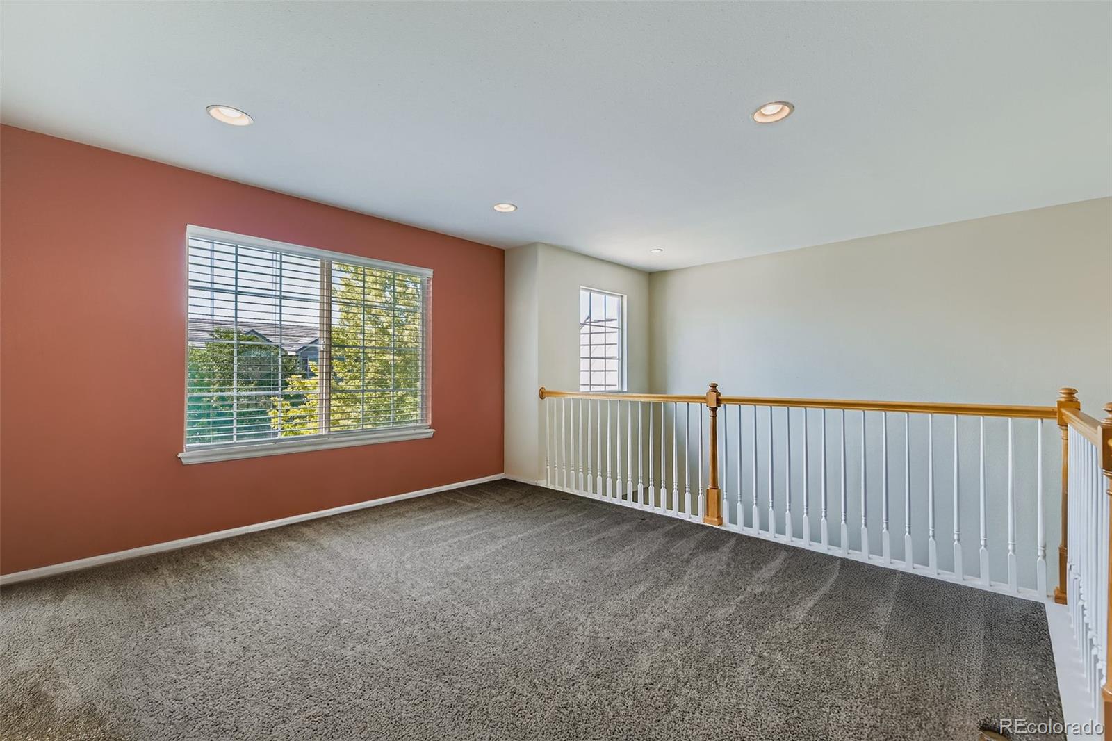 MLS Image #31 for 2903 e 136th place,thornton, Colorado
