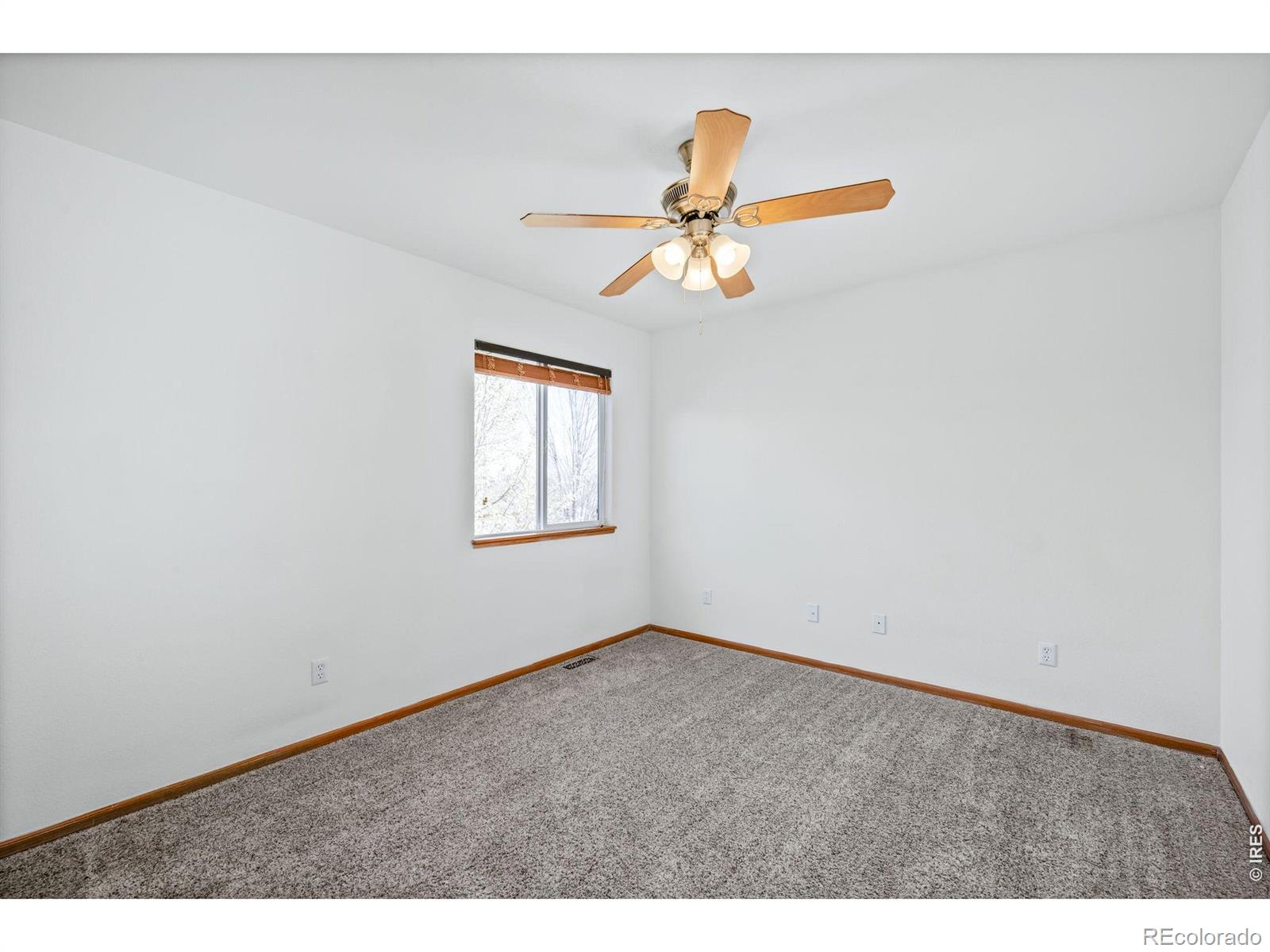 MLS Image #14 for 1245 w 50th street,loveland, Colorado