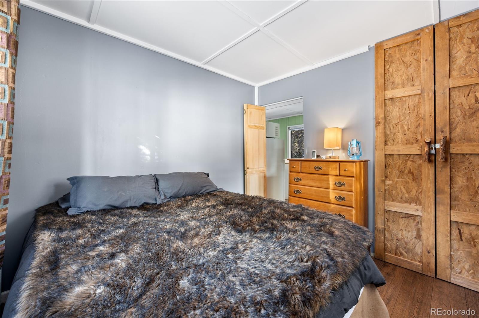MLS Image #11 for 267  kutsu ridge road,florissant, Colorado