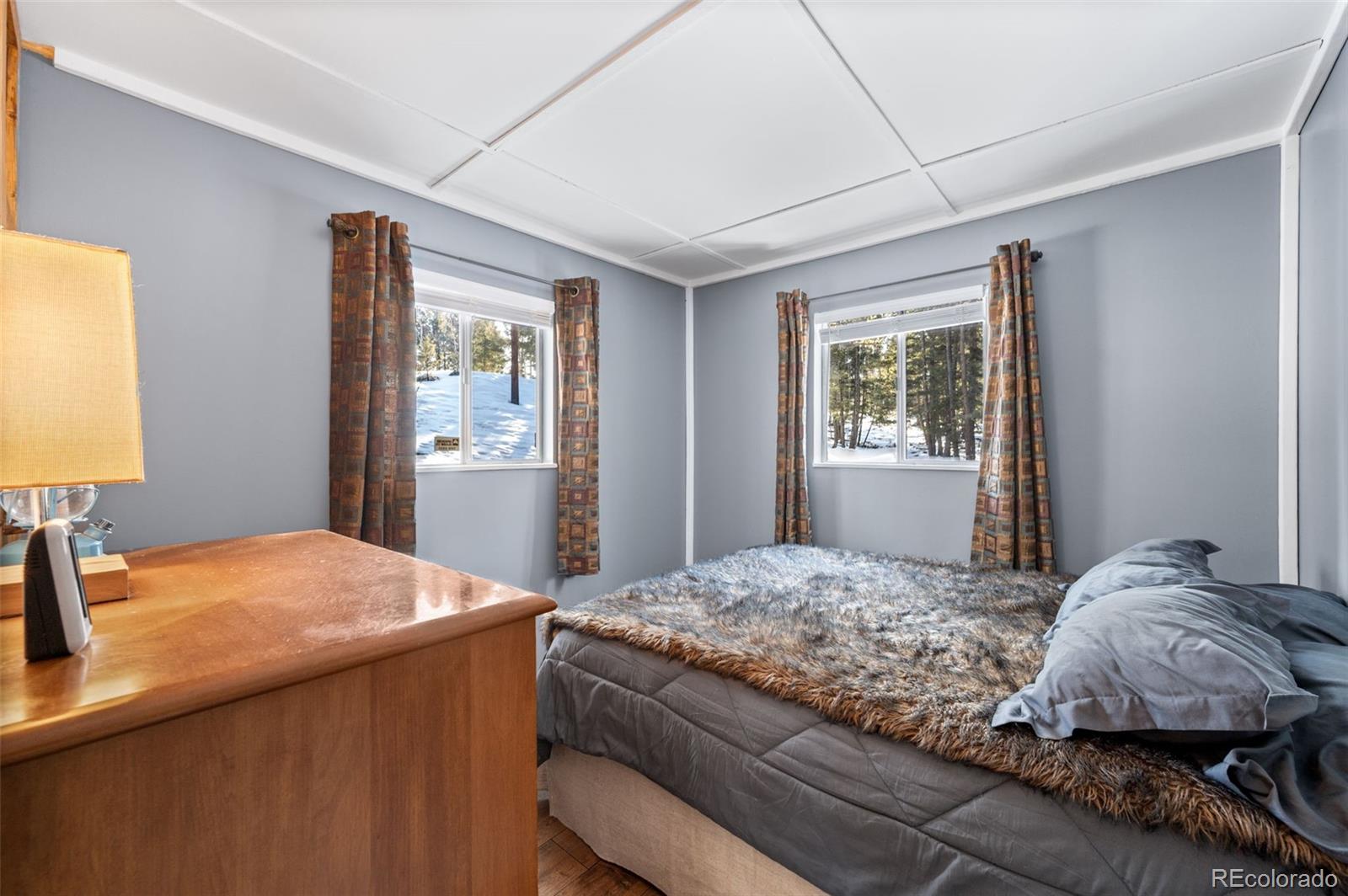 MLS Image #12 for 267  kutsu ridge road,florissant, Colorado