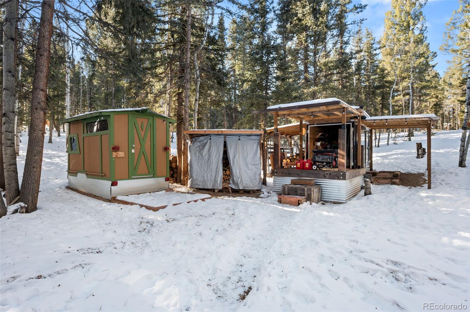 MLS Image #16 for 267  kutsu ridge road,florissant, Colorado