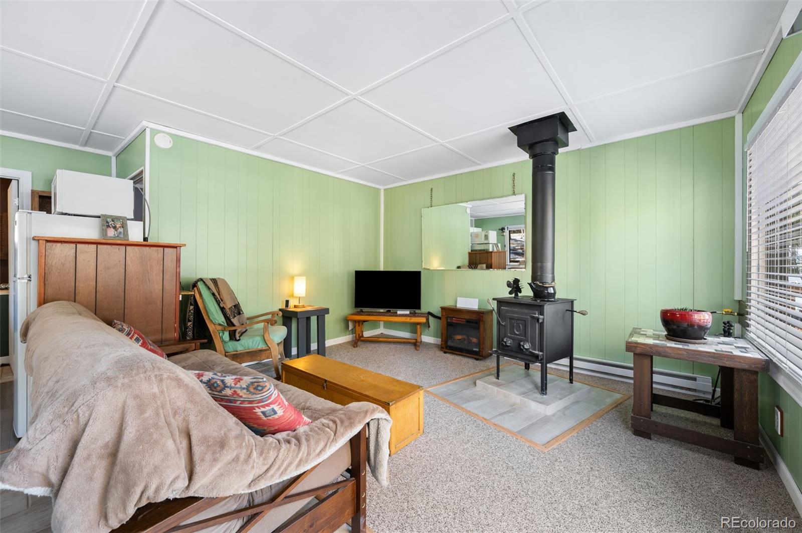 MLS Image #4 for 267  kutsu ridge road,florissant, Colorado