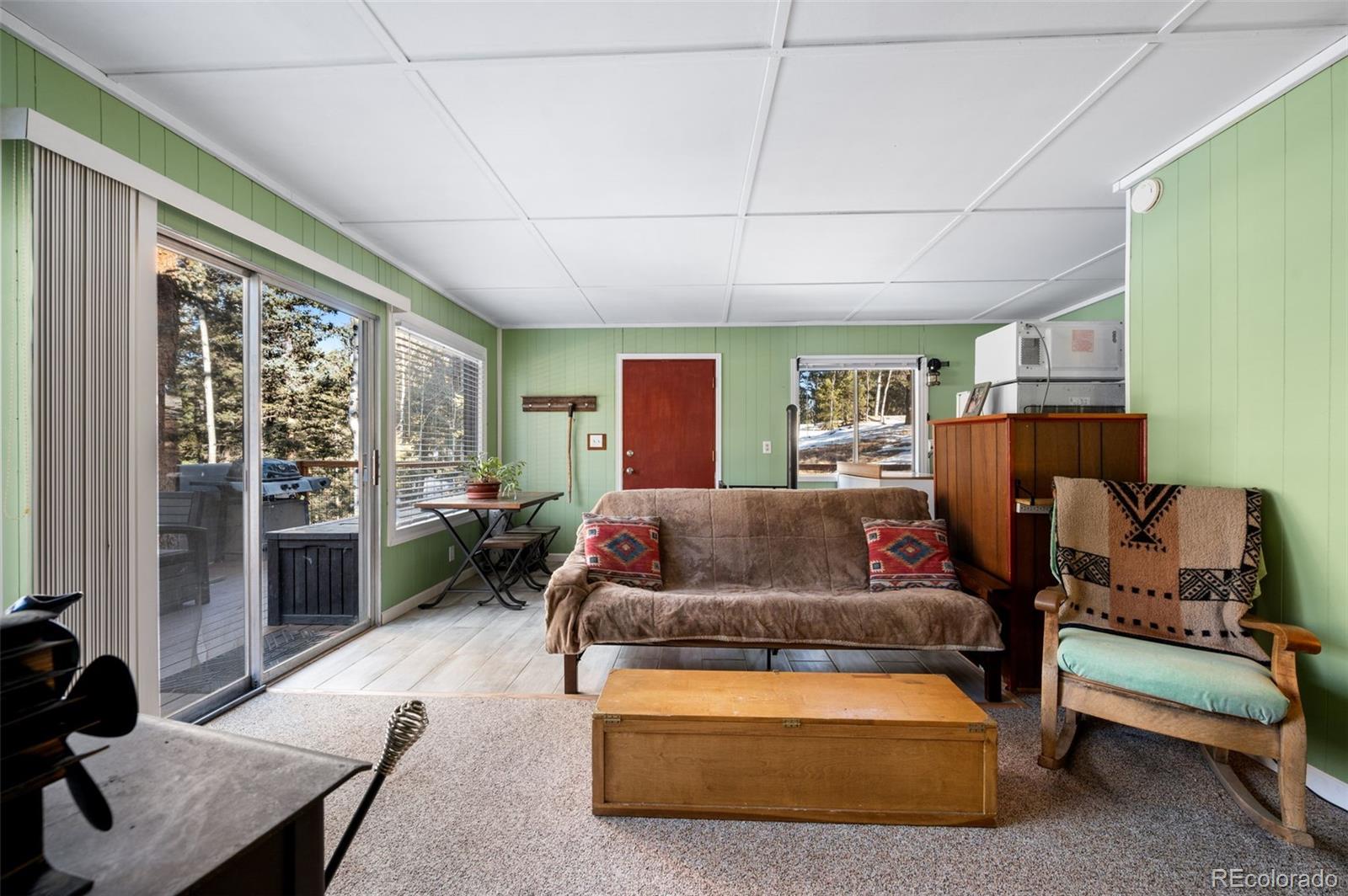 MLS Image #5 for 267  kutsu ridge road,florissant, Colorado