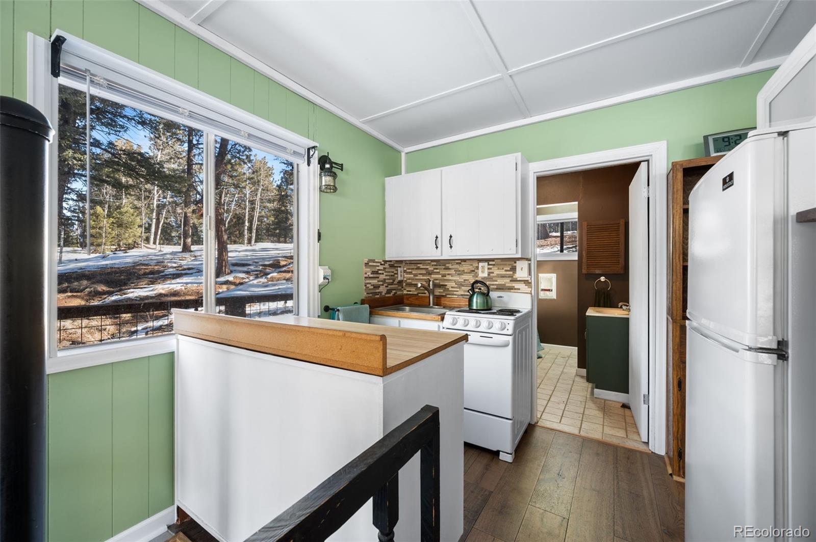 MLS Image #7 for 267  kutsu ridge road,florissant, Colorado