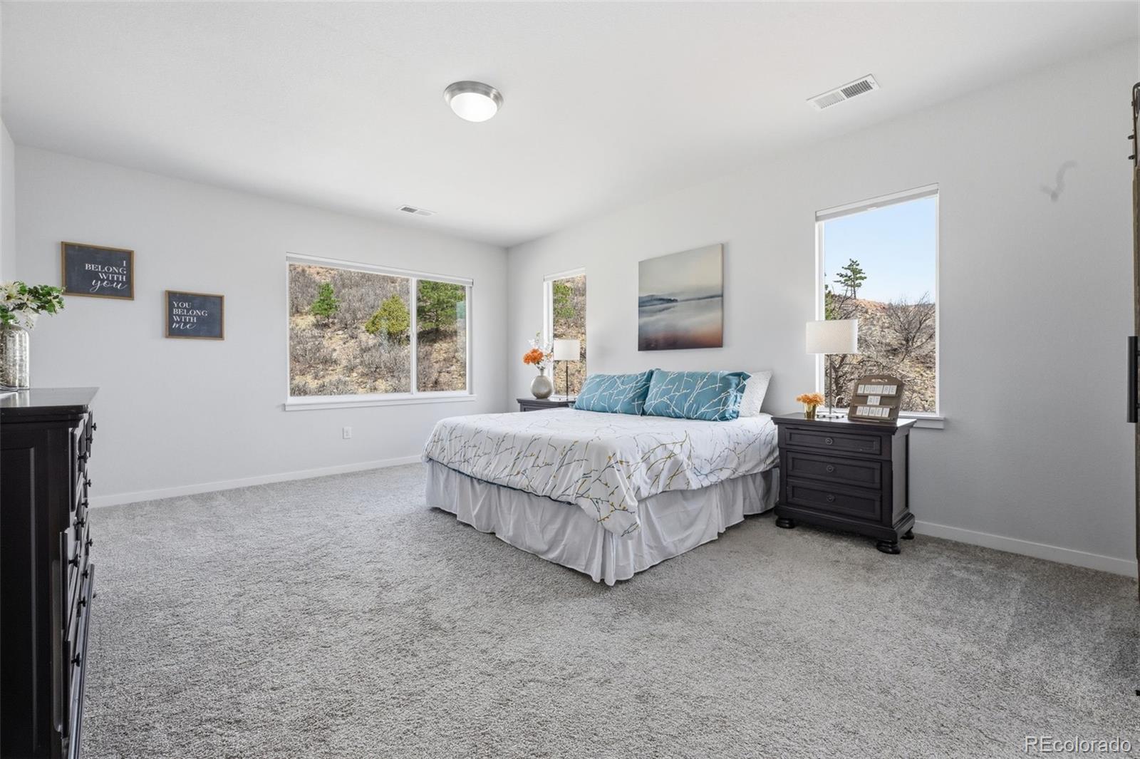 MLS Image #11 for 4206  mesa top drive,monument, Colorado