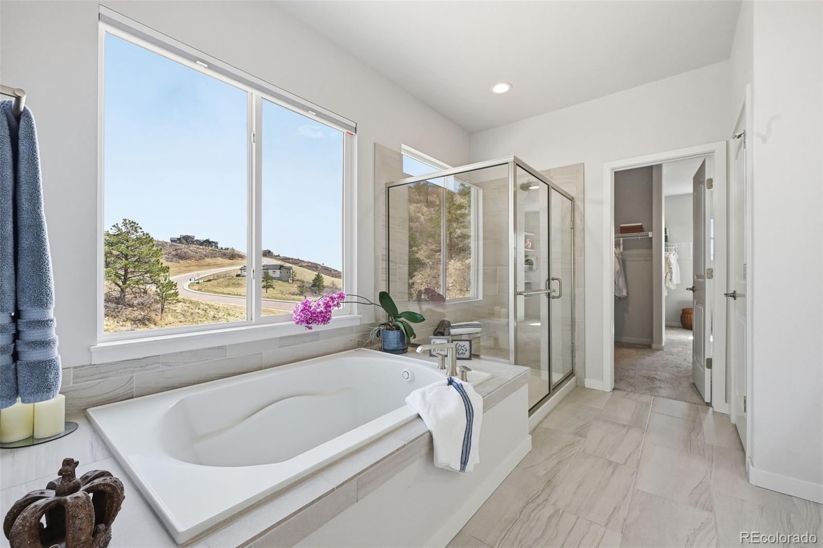 MLS Image #12 for 4206  mesa top drive,monument, Colorado
