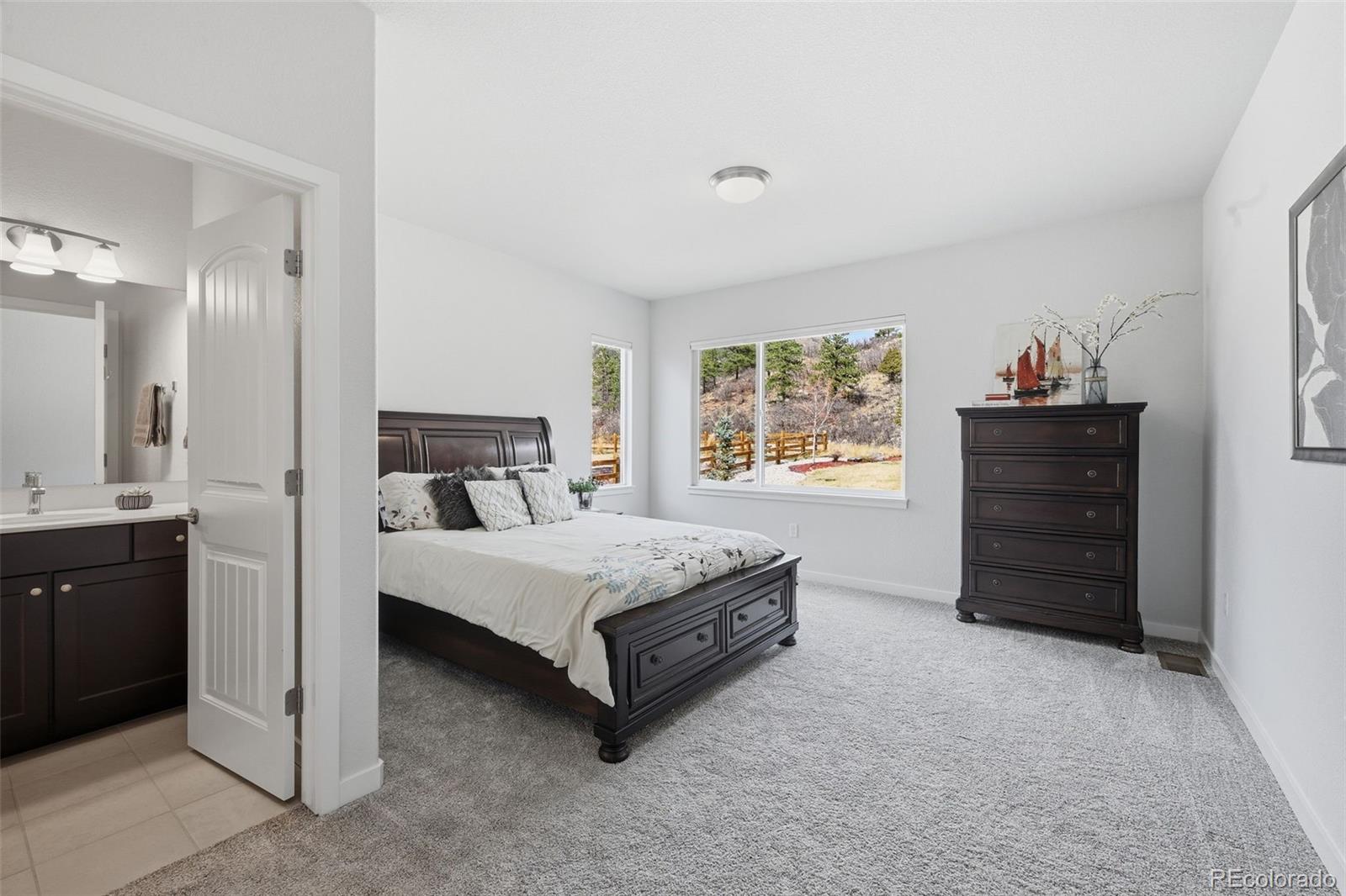 MLS Image #15 for 4206  mesa top drive,monument, Colorado