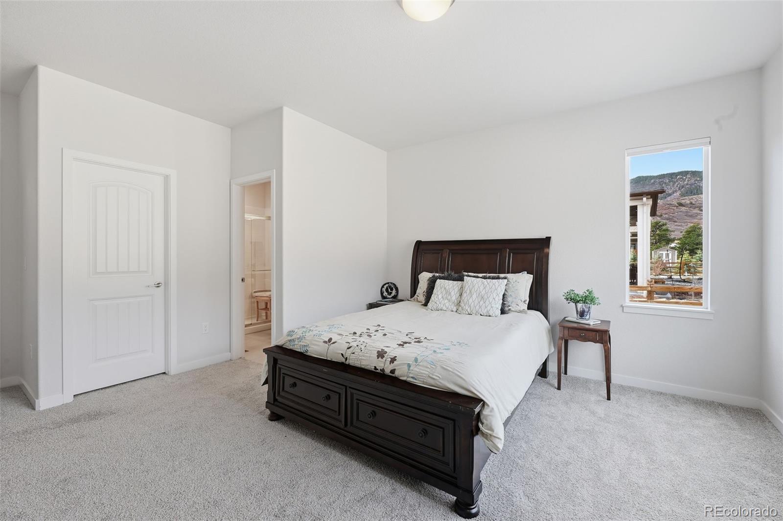MLS Image #16 for 4206  mesa top drive,monument, Colorado