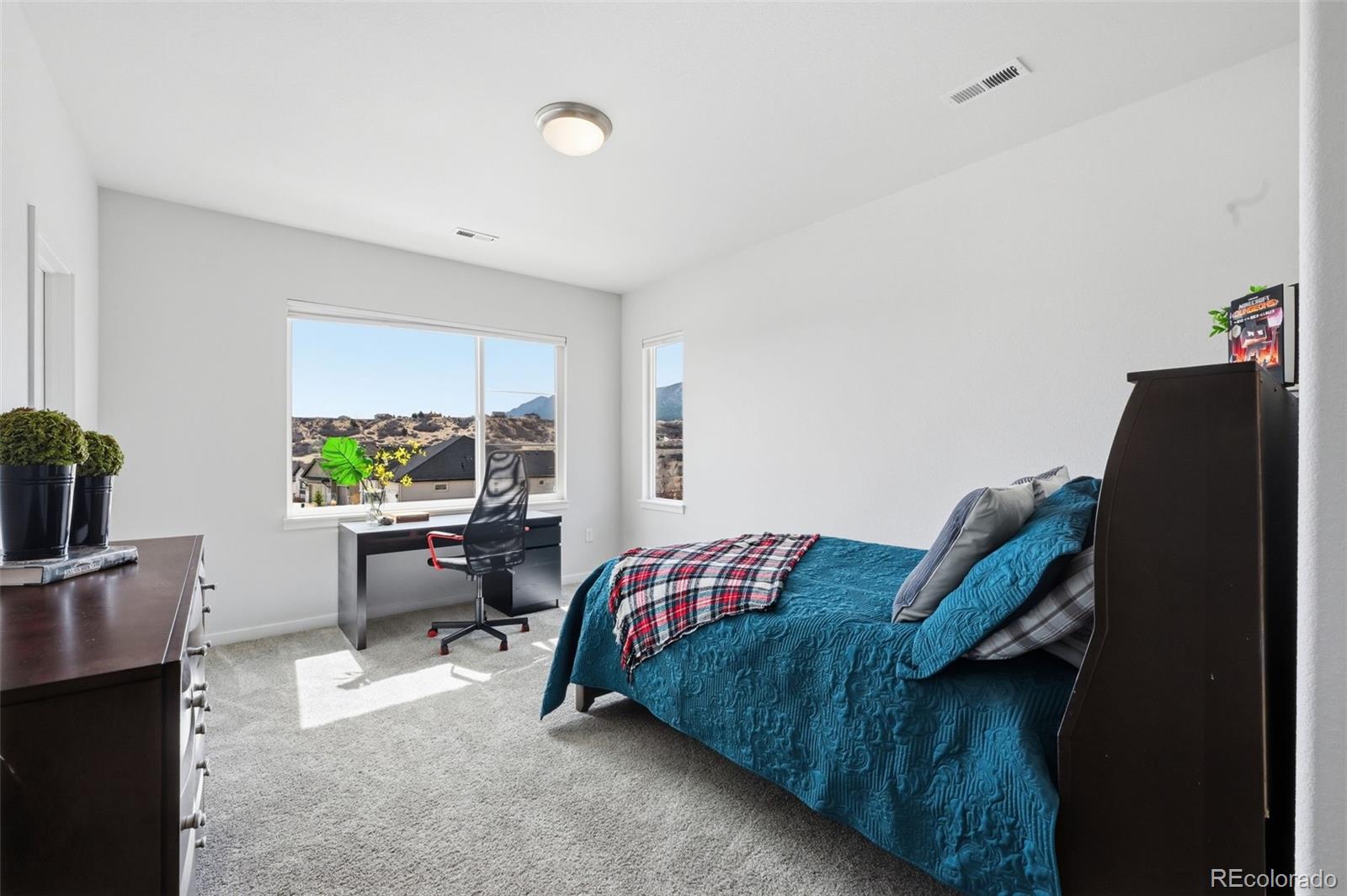 MLS Image #17 for 4206  mesa top drive,monument, Colorado