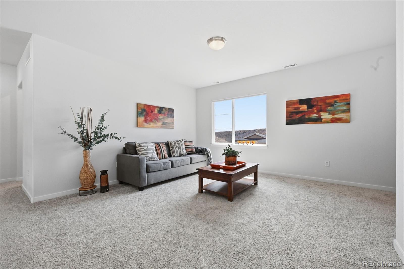 MLS Image #23 for 4206  mesa top drive,monument, Colorado