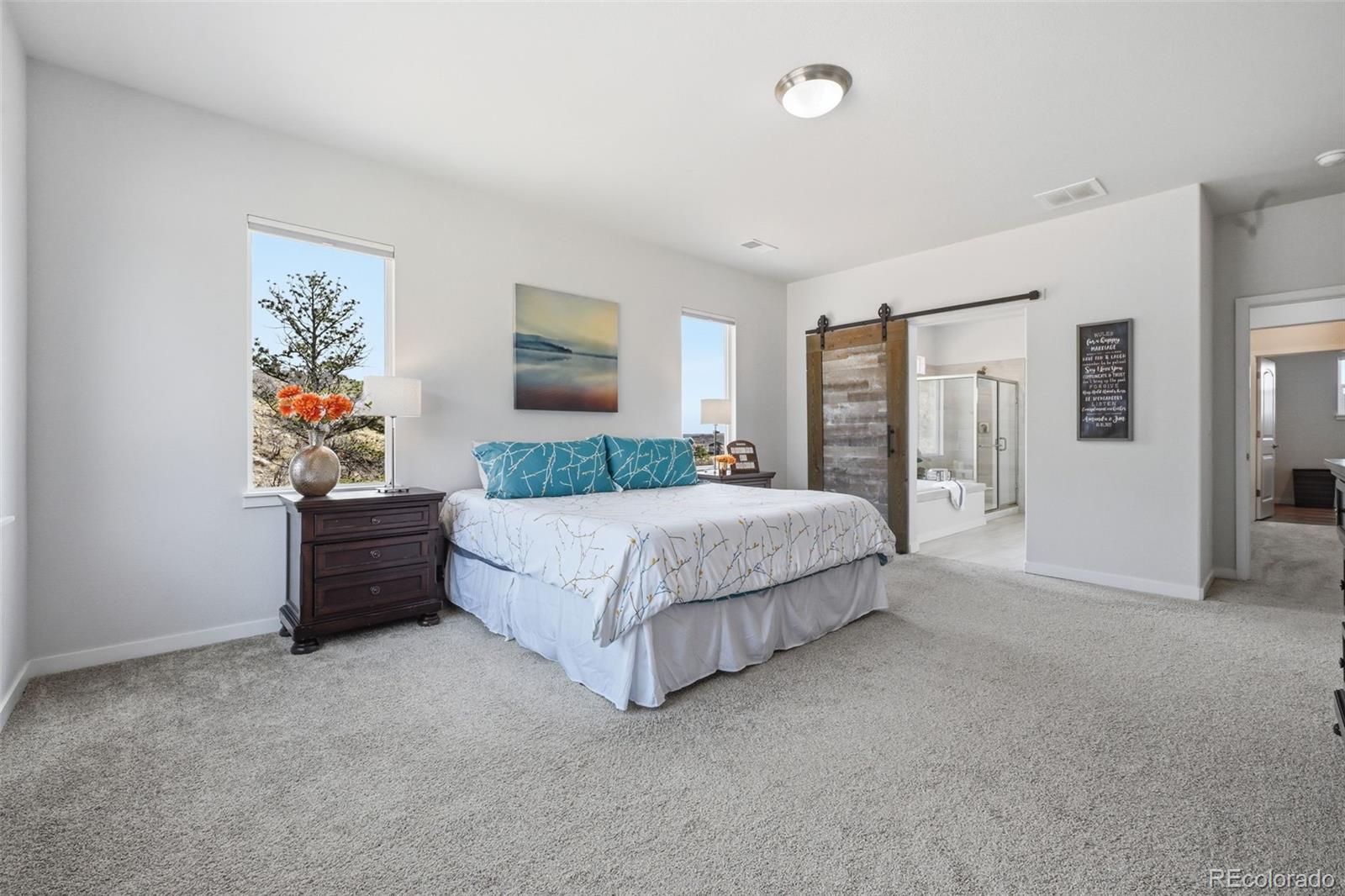 MLS Image #43 for 4206  mesa top drive,monument, Colorado