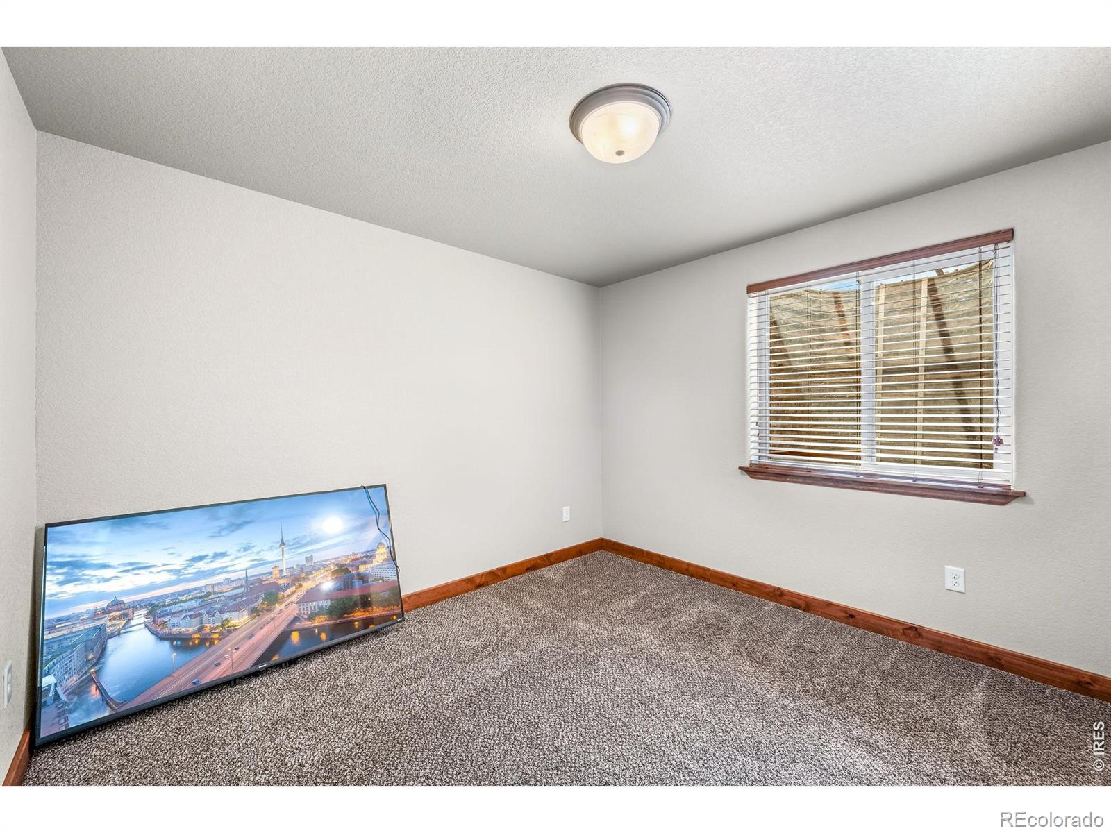MLS Image #19 for 855  mount massive street,berthoud, Colorado