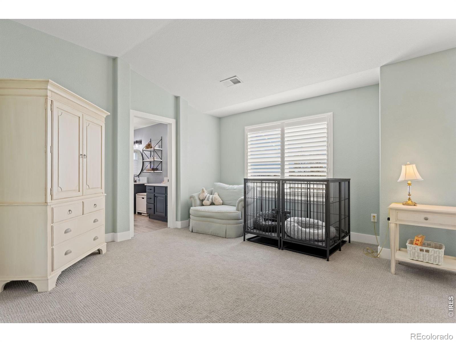 MLS Image #21 for 13378  king lake trail,broomfield, Colorado