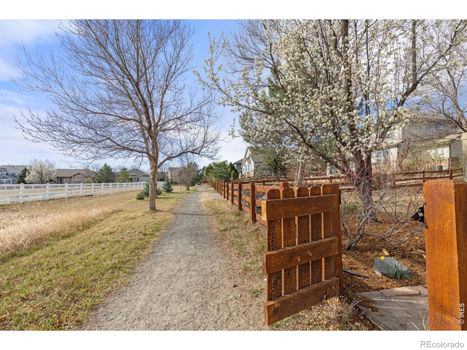 MLS Image #43 for 13378  king lake trail,broomfield, Colorado