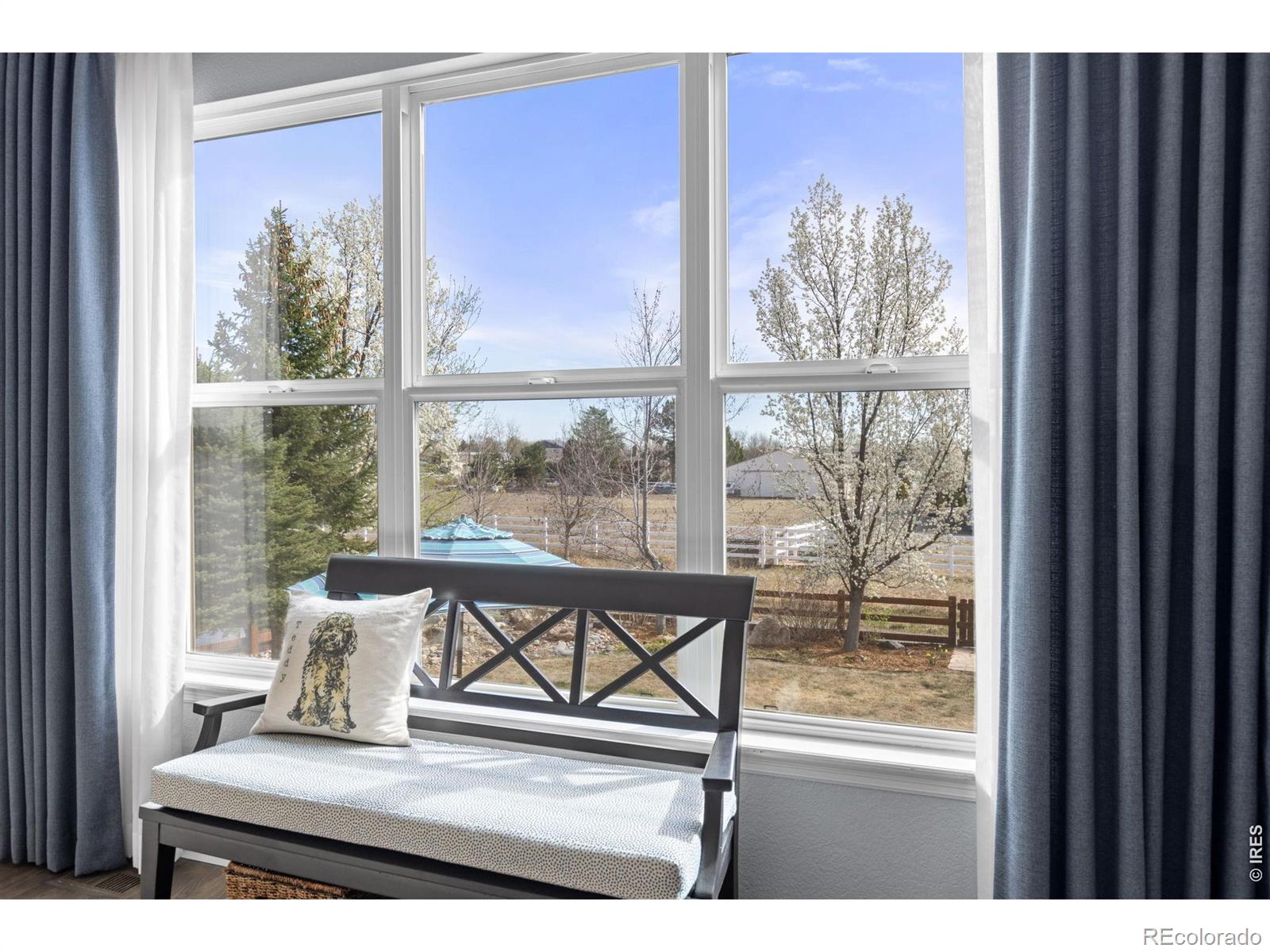 MLS Image #7 for 13378  king lake trail,broomfield, Colorado