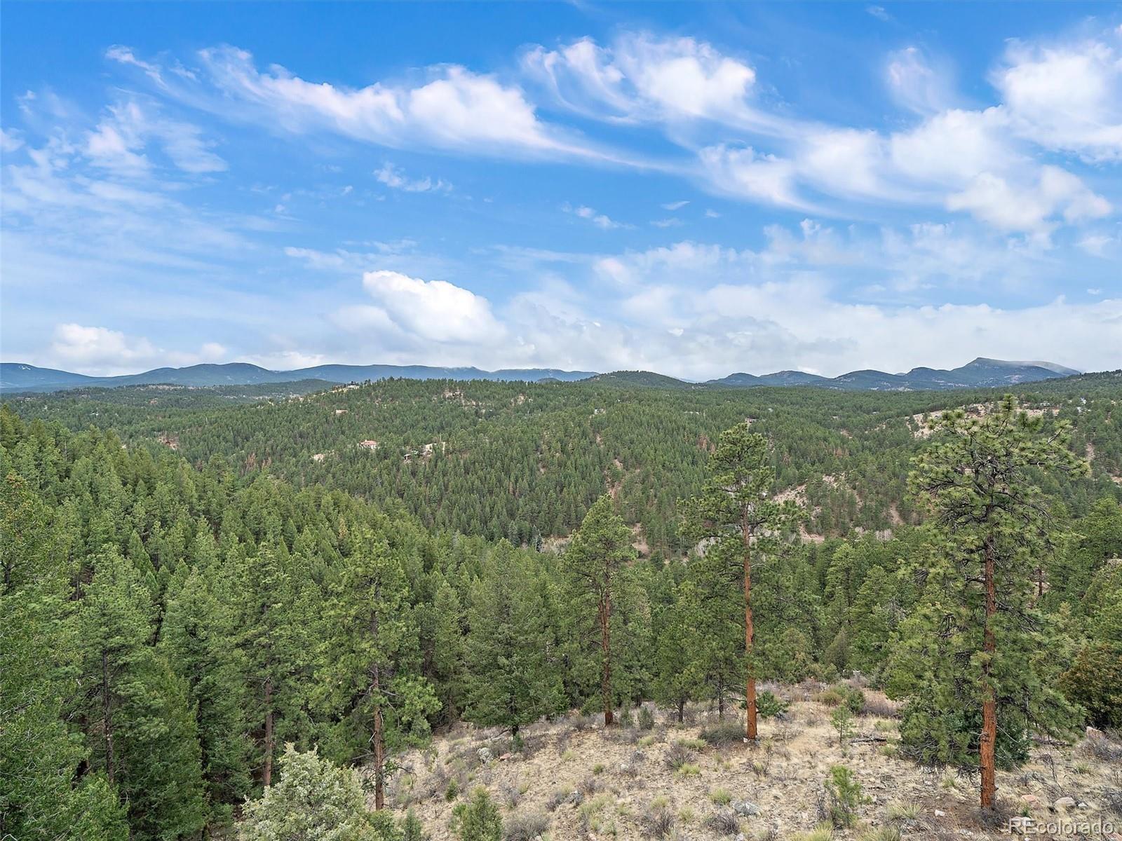 MLS Image #22 for 35005  whispering pines trail,pine, Colorado