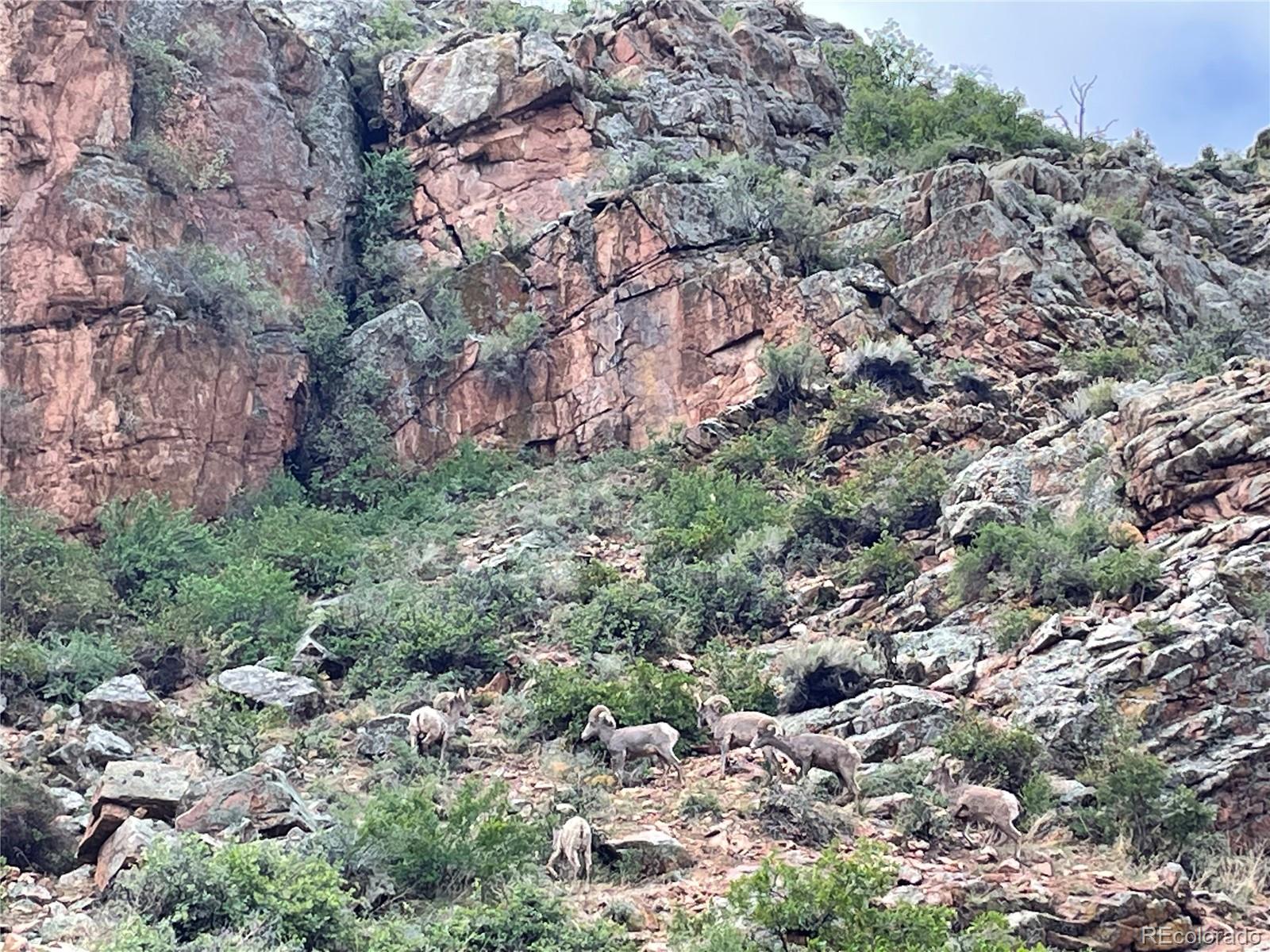 MLS Image #41 for 20163  us hwy 50 ,cotopaxi, Colorado
