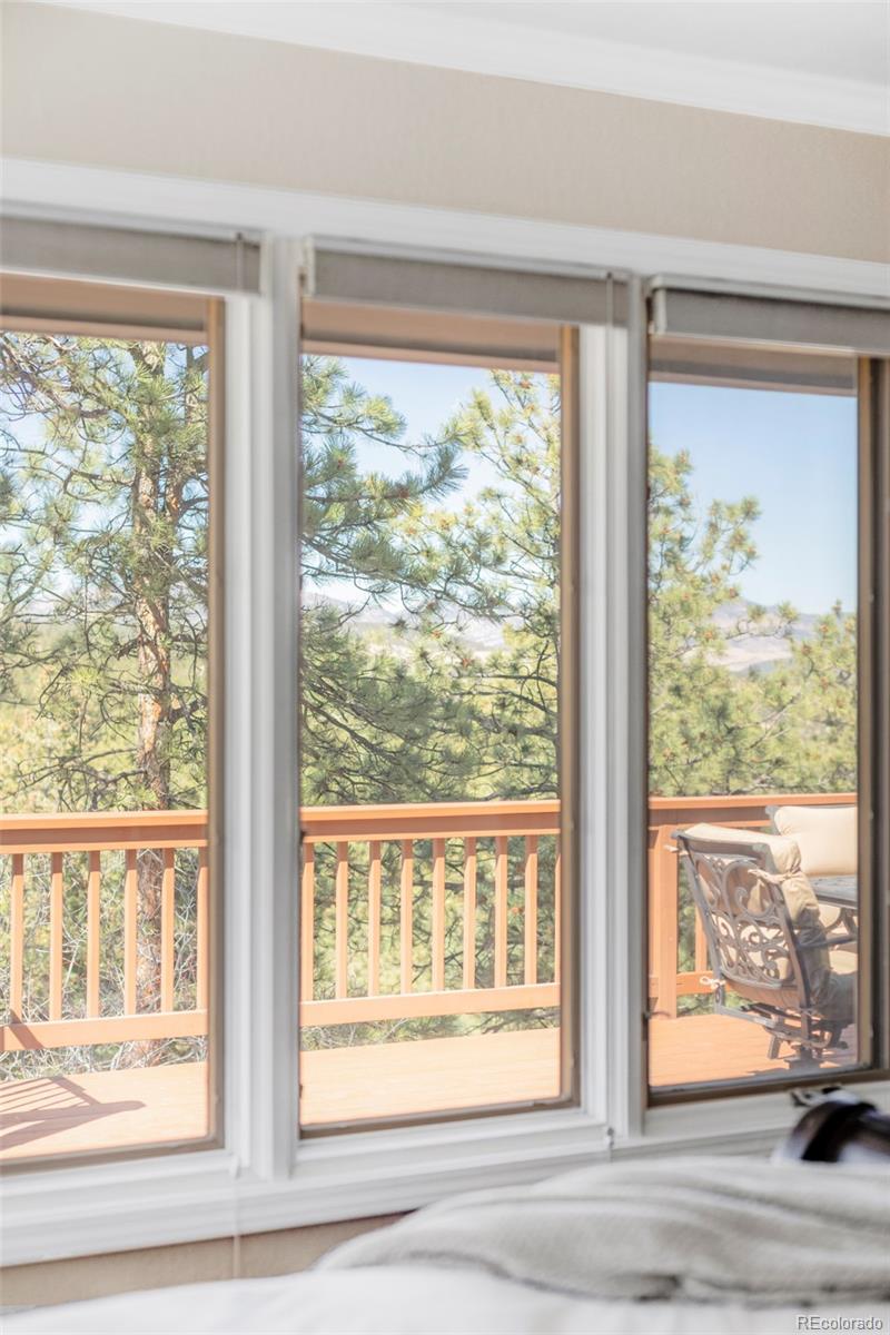 MLS Image #17 for 1471 s winston drive,golden, Colorado