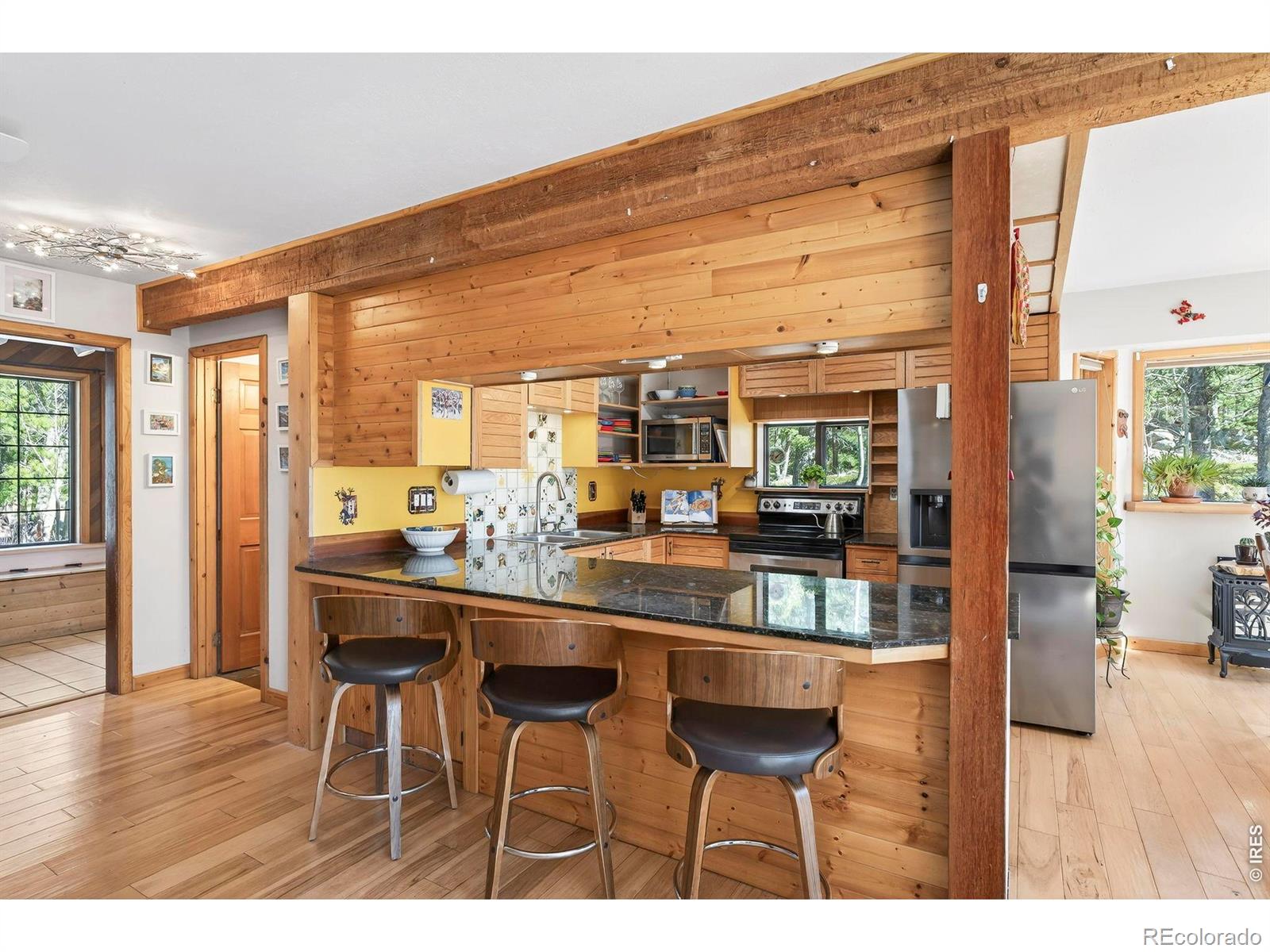 MLS Image #11 for 1856  ridge road,nederland, Colorado