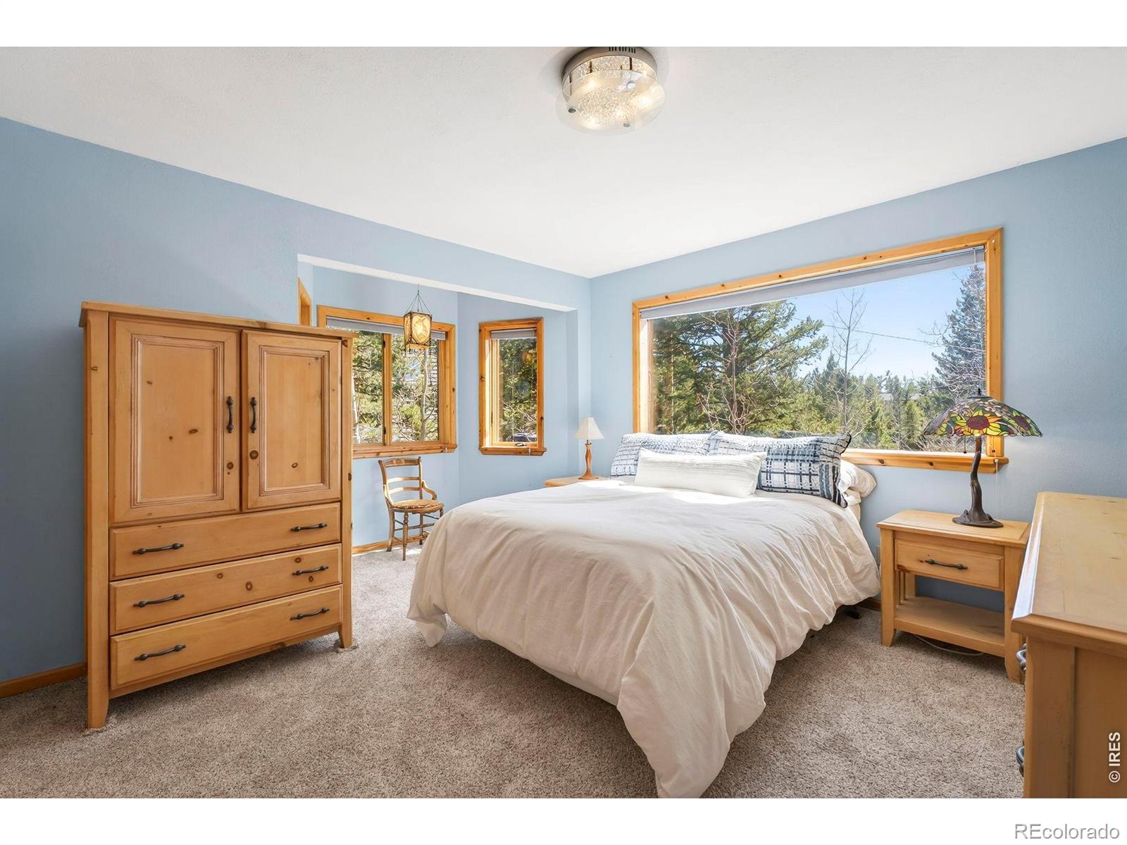 MLS Image #16 for 1856  ridge road,nederland, Colorado