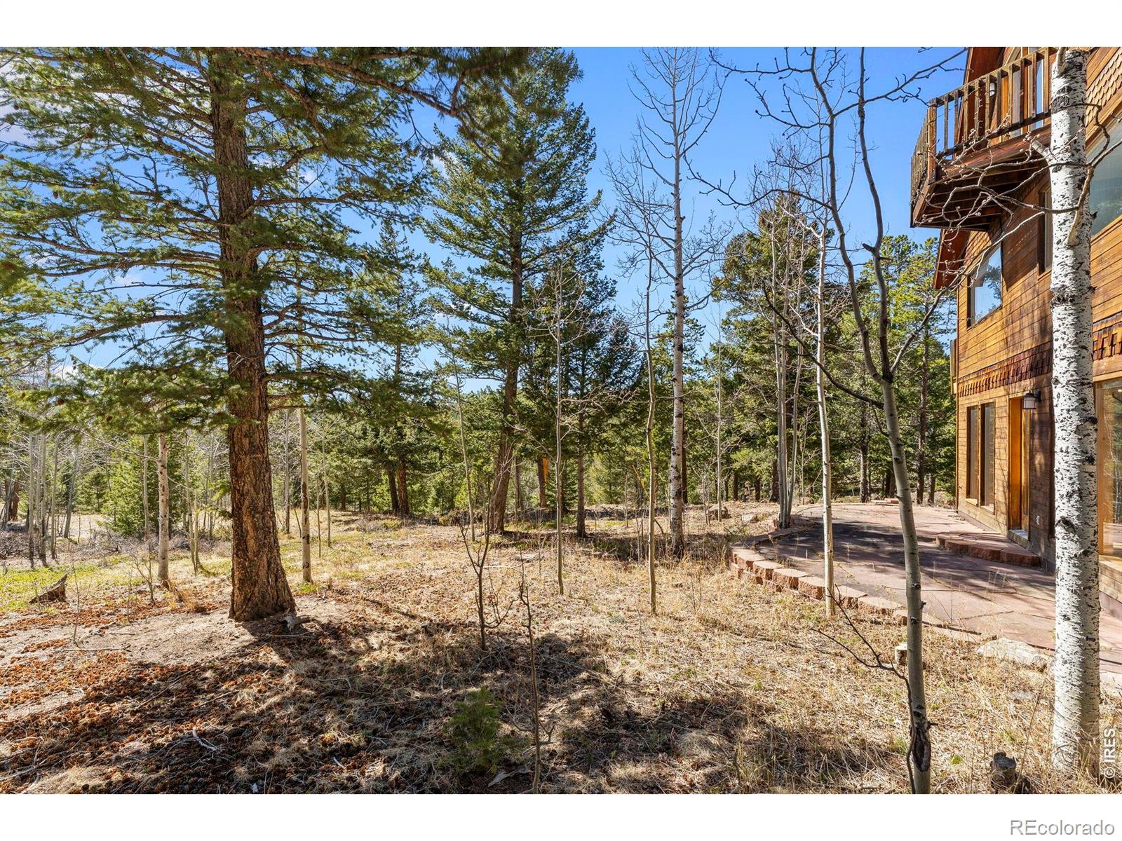 MLS Image #25 for 1856  ridge road,nederland, Colorado