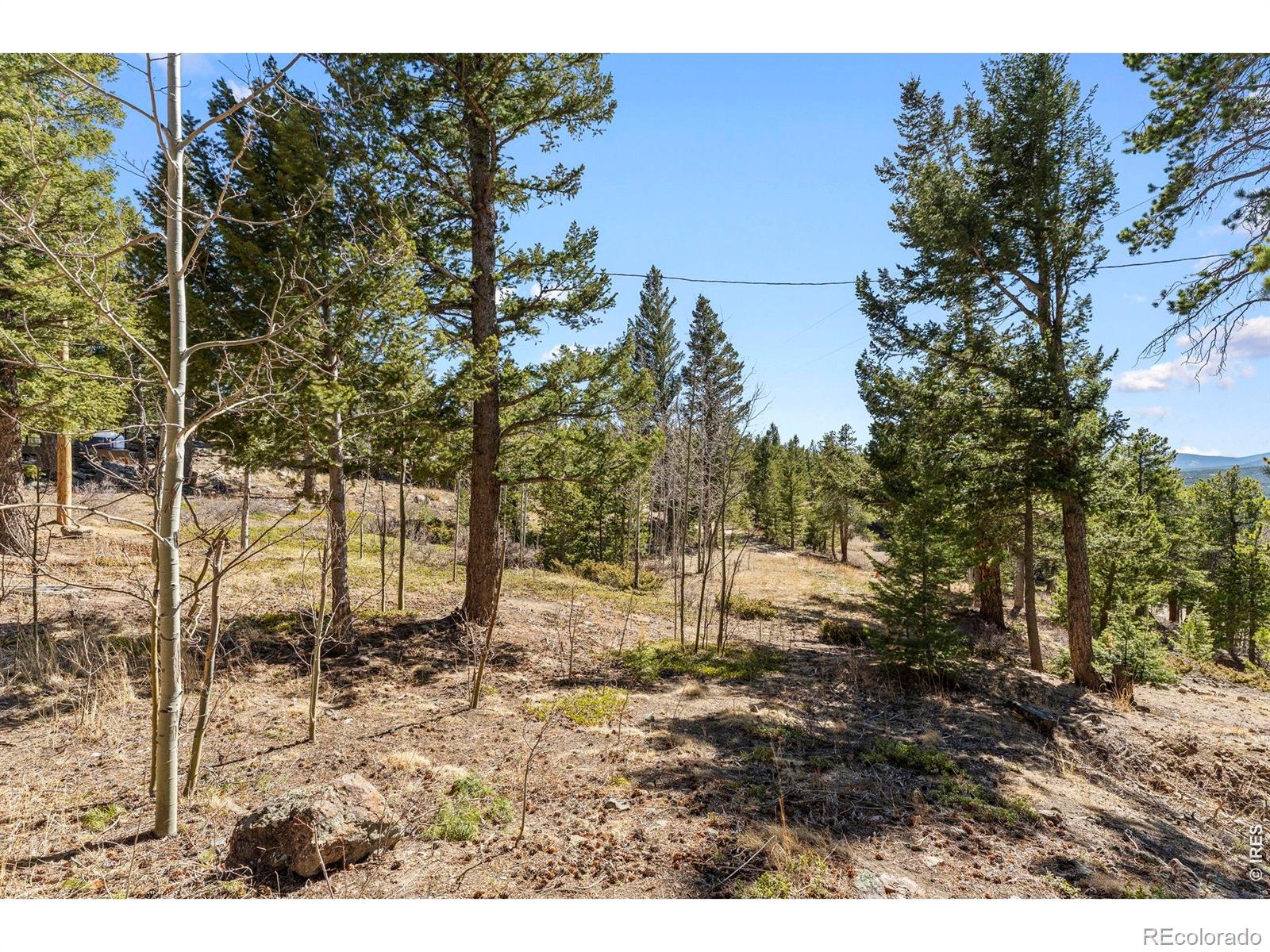 MLS Image #28 for 1856  ridge road,nederland, Colorado