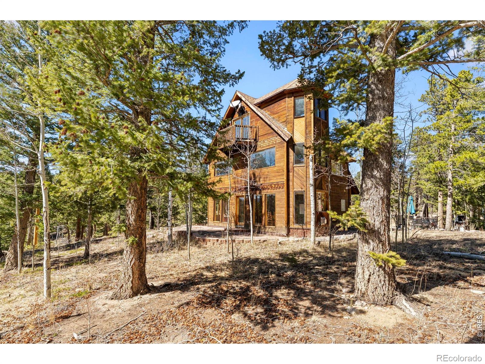 MLS Image #29 for 1856  ridge road,nederland, Colorado