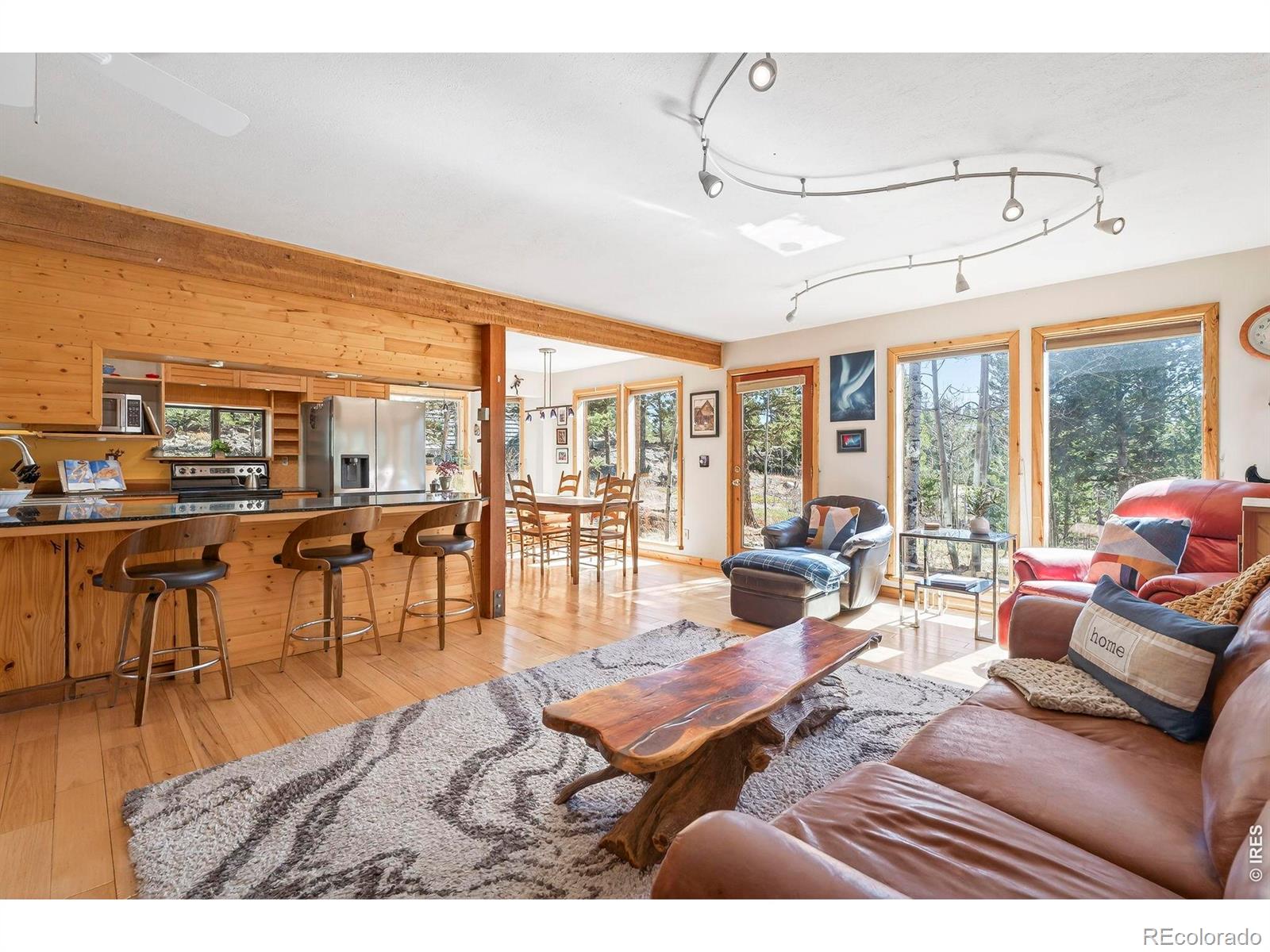 MLS Image #4 for 1856  ridge road,nederland, Colorado