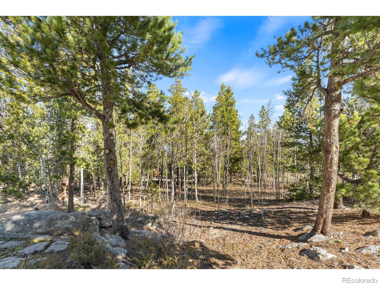 MLS Image #19 for 11  randall ridge road,black hawk, Colorado