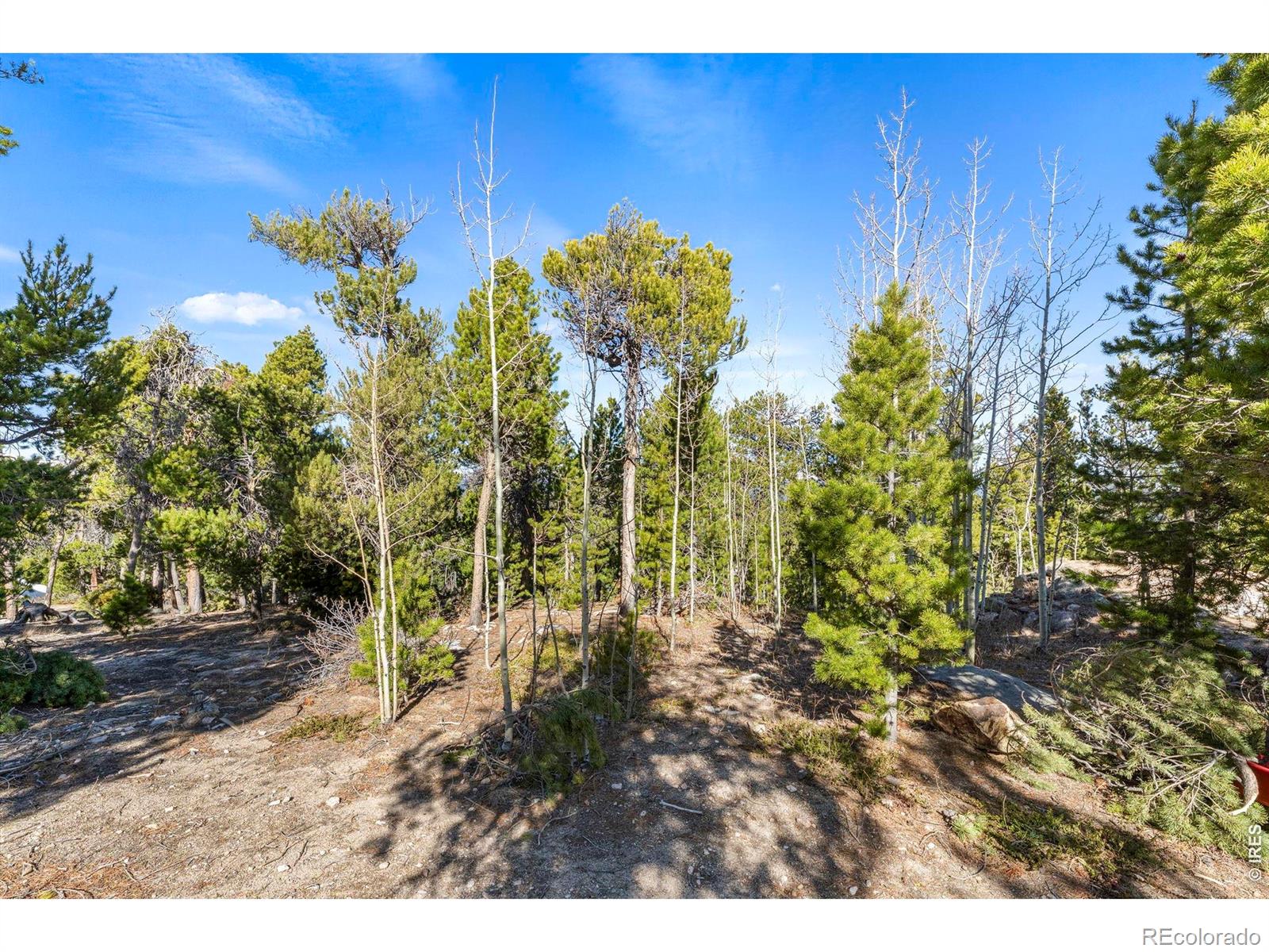MLS Image #20 for 11  randall ridge road,black hawk, Colorado