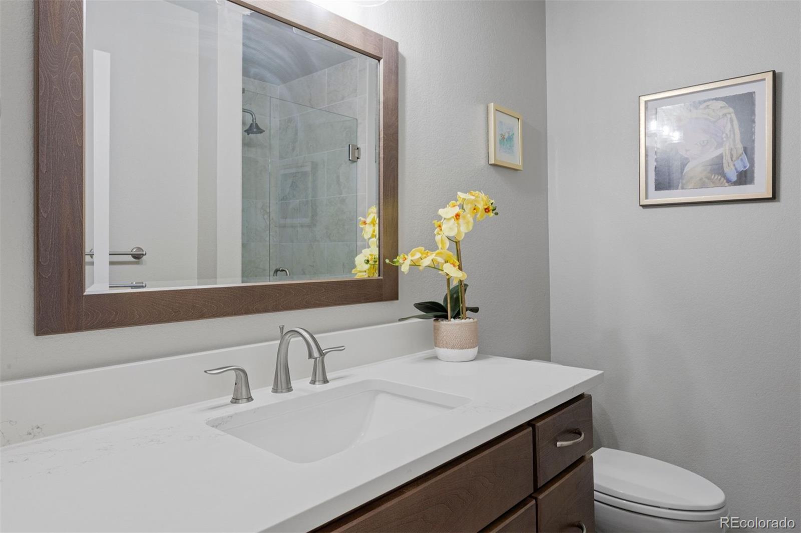 MLS Image #13 for 21770  unbridled avenue,parker, Colorado