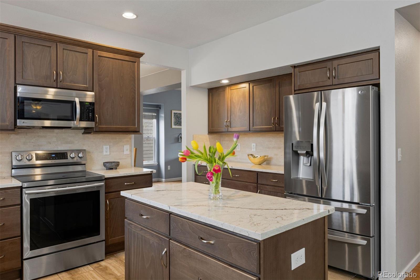 MLS Image #7 for 21770  unbridled avenue,parker, Colorado