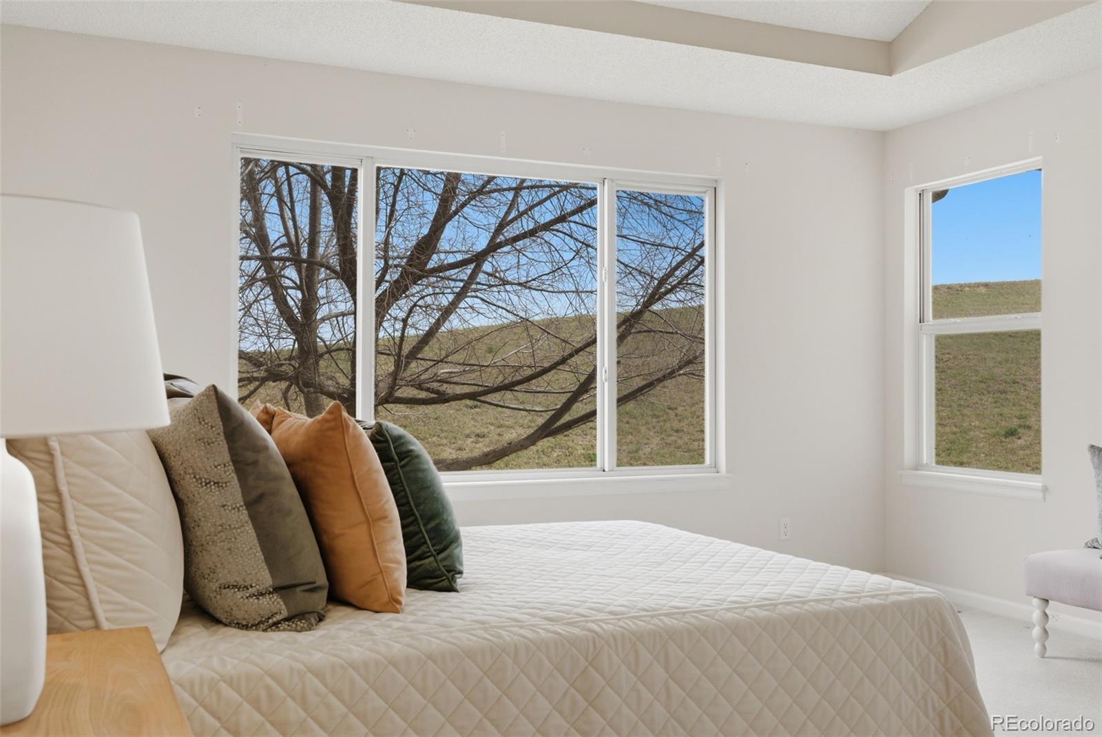 MLS Image #27 for 6848  lupine way,arvada, Colorado