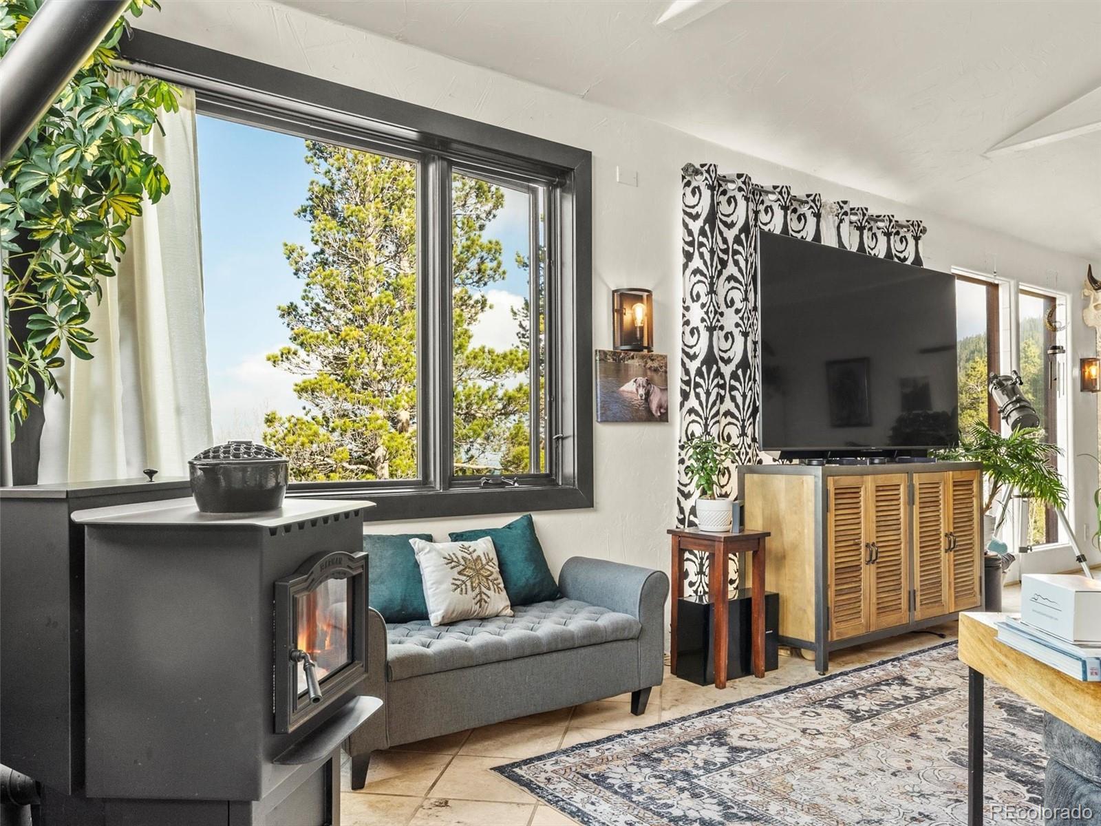 MLS Image #12 for 197  sawmill lane,idaho springs, Colorado