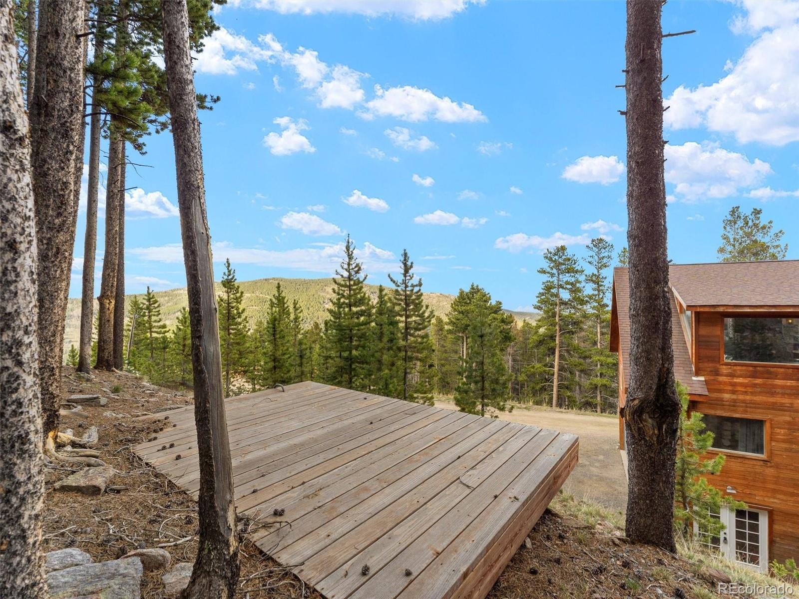 MLS Image #40 for 197  sawmill lane,idaho springs, Colorado