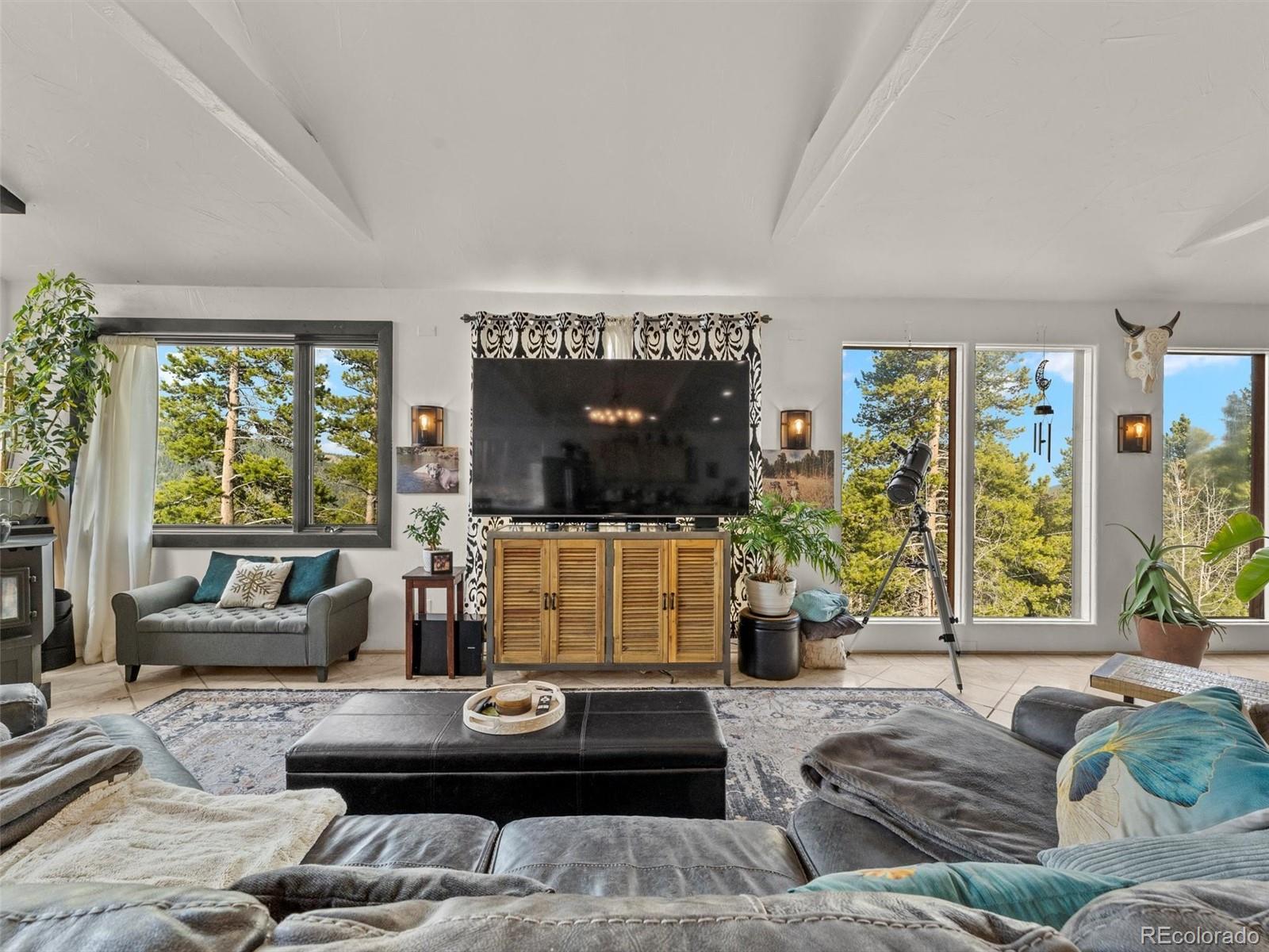 MLS Image #9 for 197  sawmill lane,idaho springs, Colorado