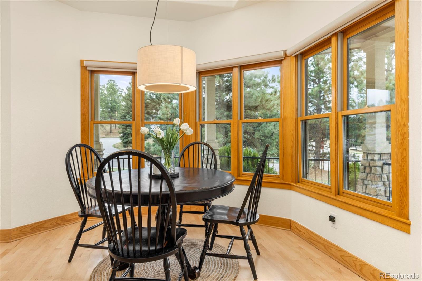 MLS Image #15 for 7457  gooseberry court,parker, Colorado