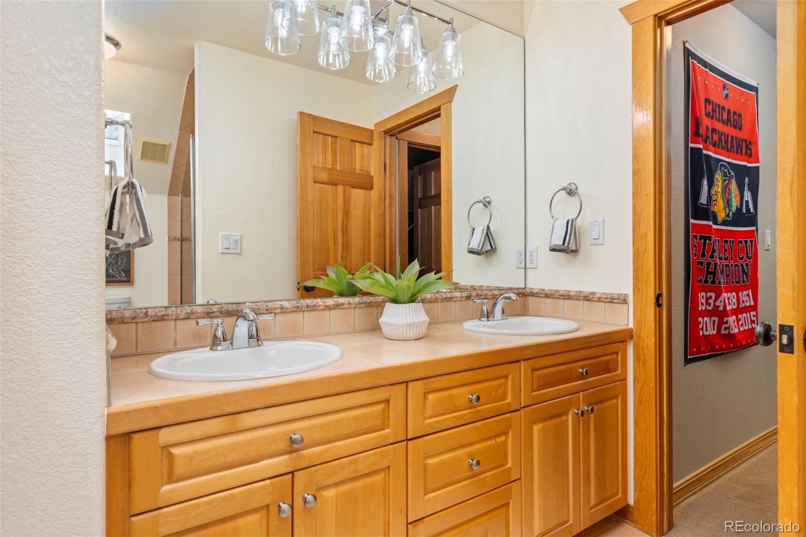 MLS Image #28 for 7457  gooseberry court,parker, Colorado