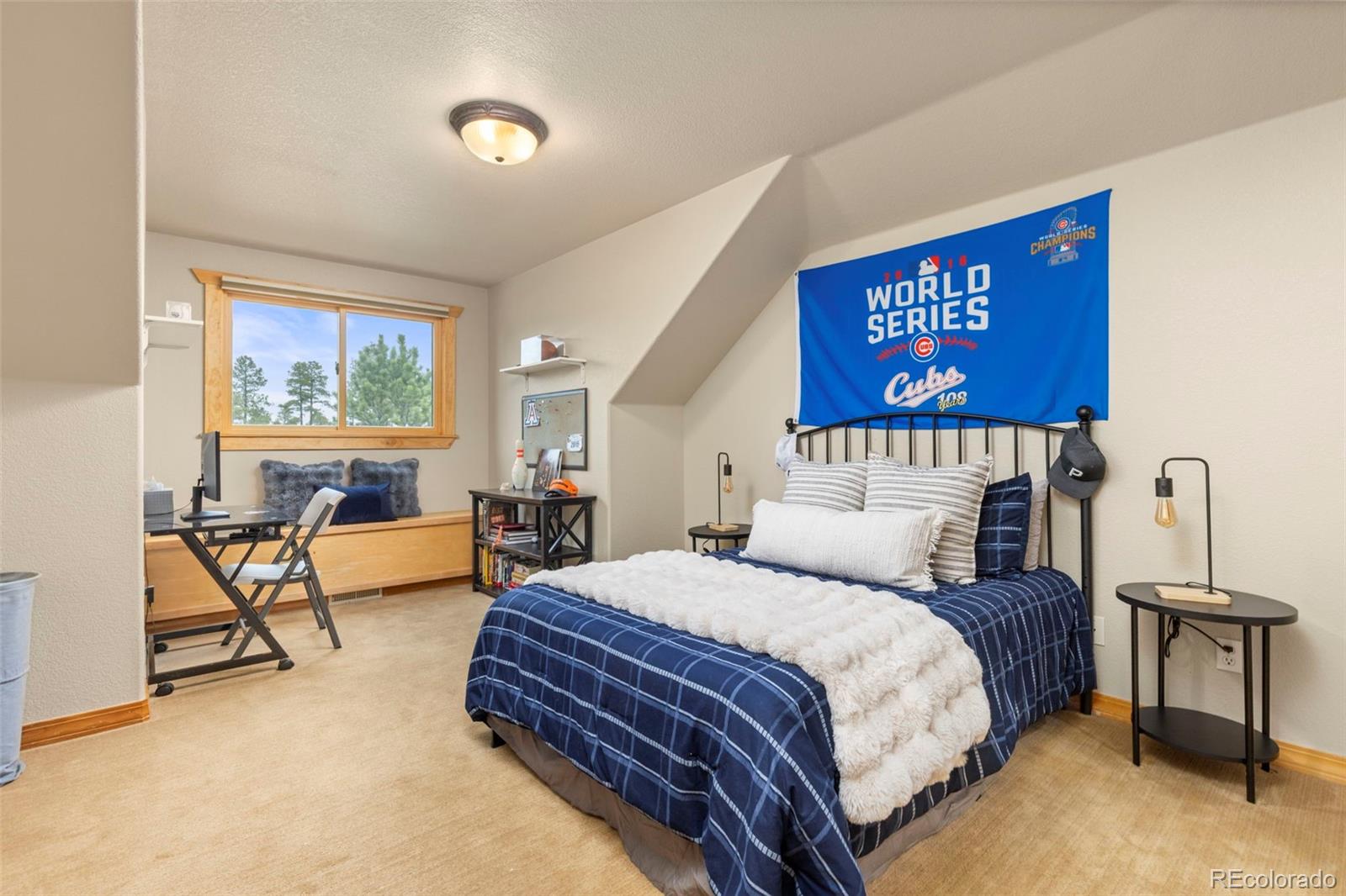 MLS Image #29 for 7457  gooseberry court,parker, Colorado