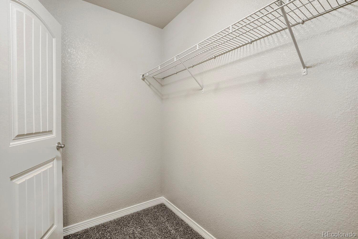 MLS Image #19 for 1778  avery plaza street,severance, Colorado