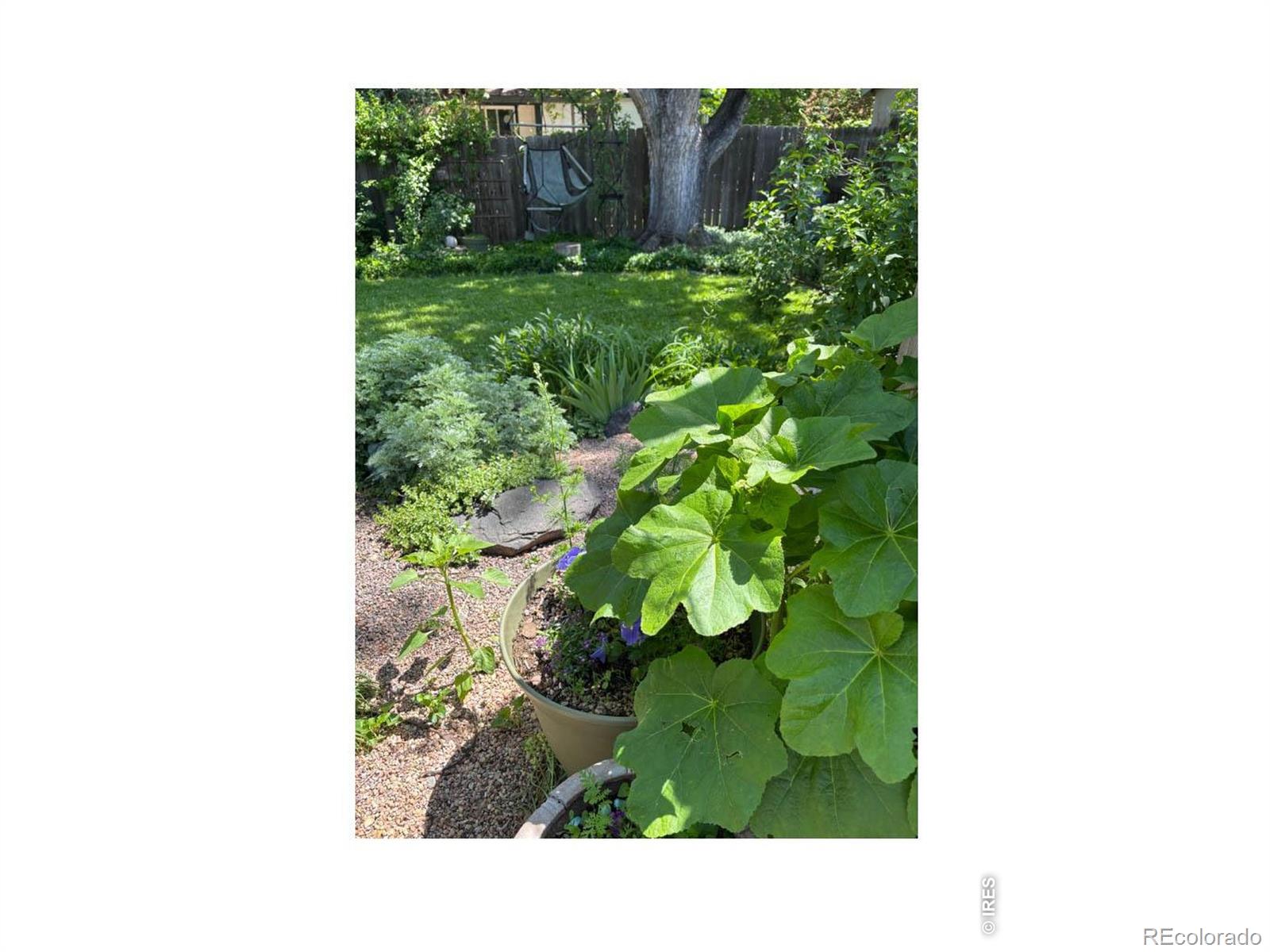MLS Image #28 for 410  west street,louisville, Colorado